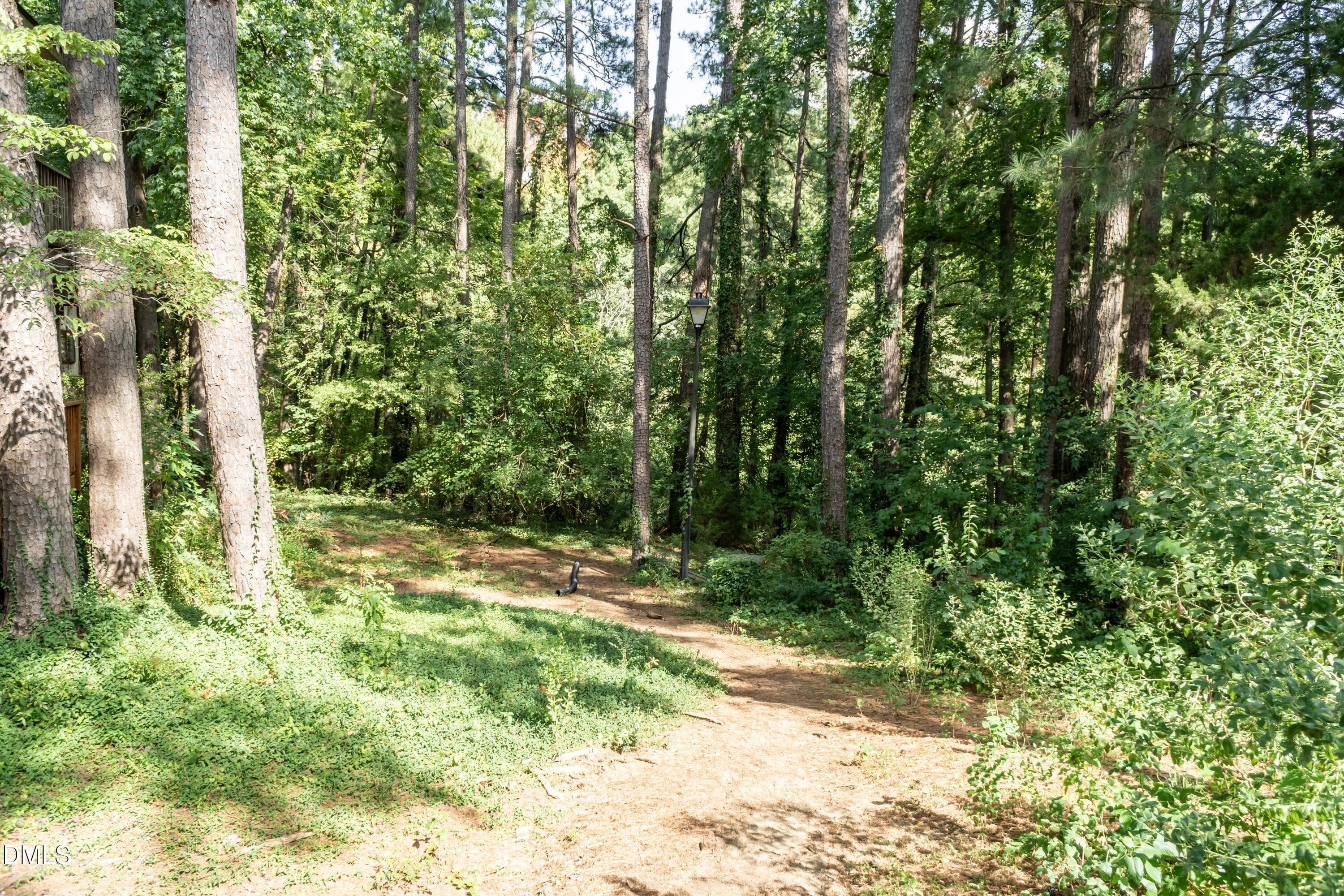 Trail 01 - 647 Pine Ridge Place, Raleigh, NC 27609, Raleigh