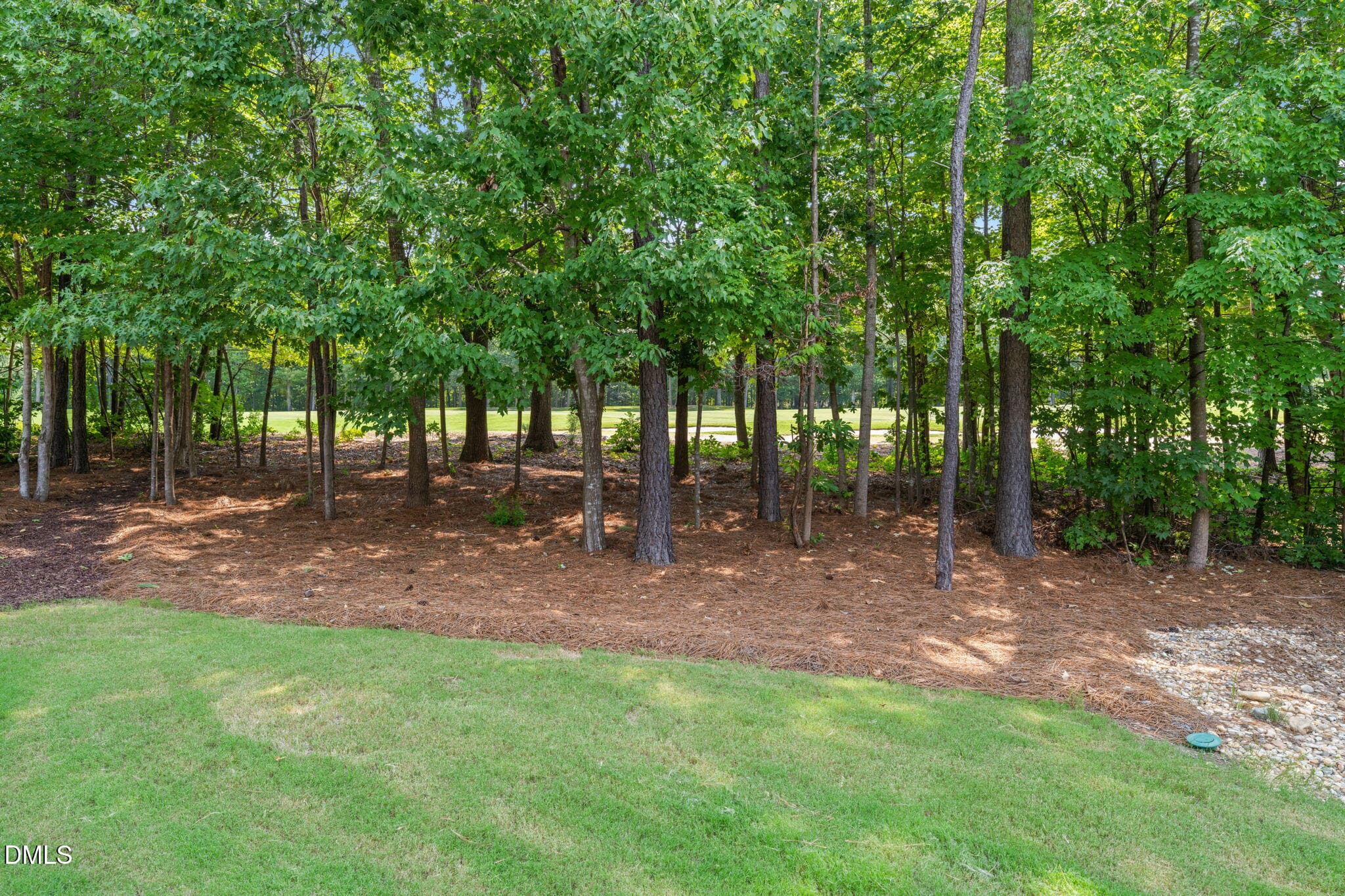 80-web-or-mls-untitled-13 (3) - 613 Morning Oaks Drive, Holly Springs, NC 27540