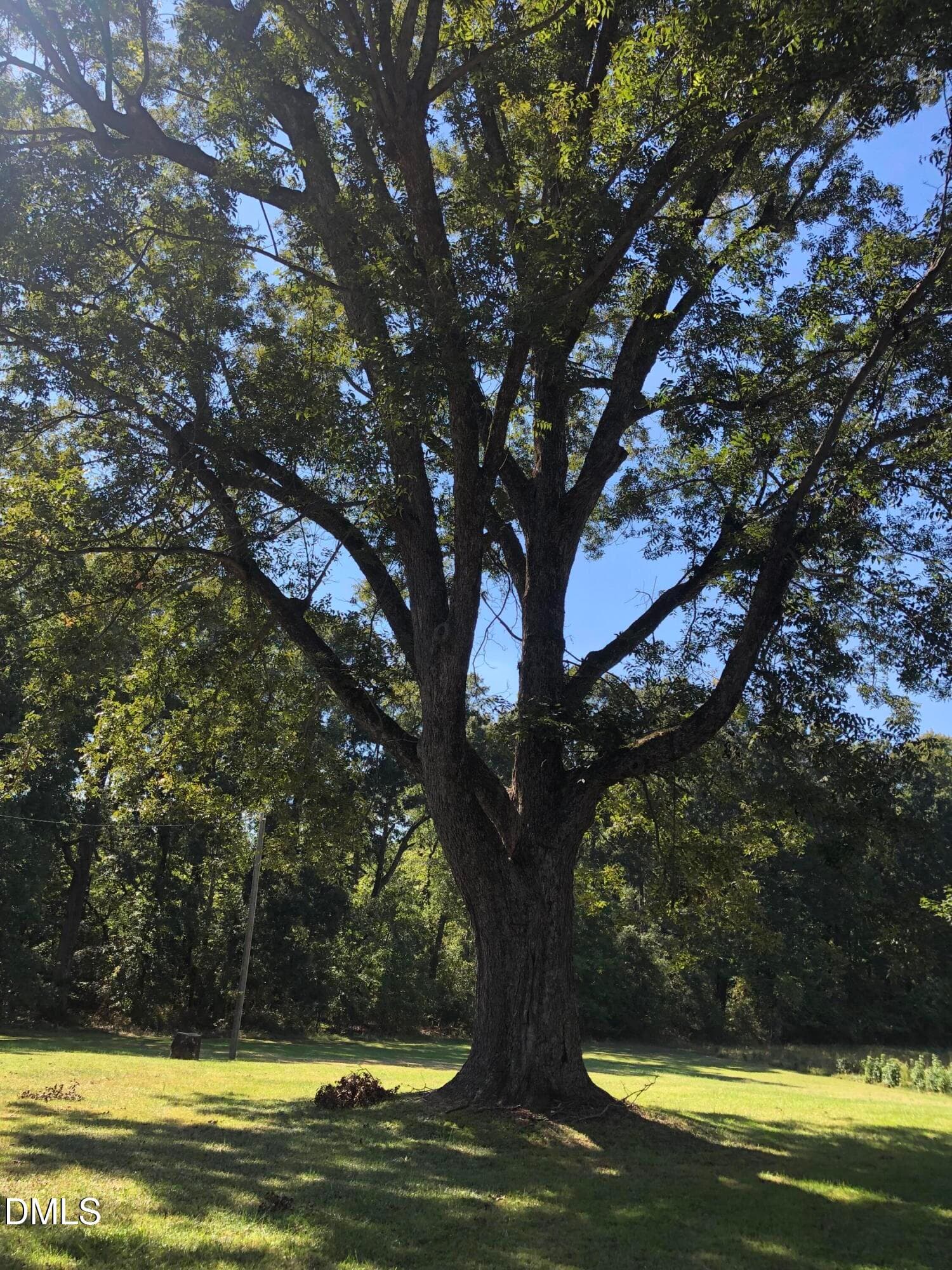 IMG_7607 - 12609 N Roxboro Road, Rougemont, NC 27572