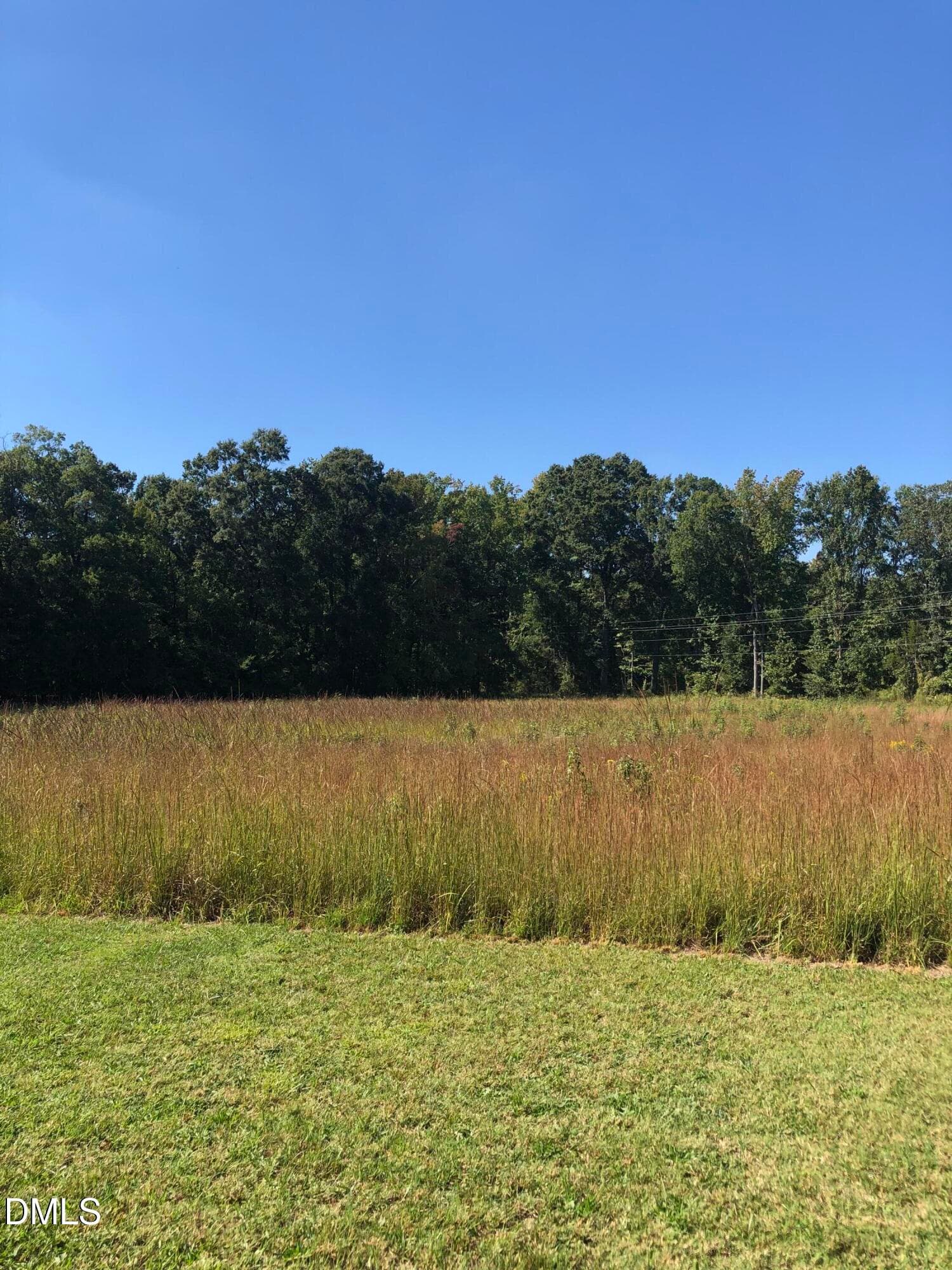 IMG_7609 - 12609 N Roxboro Road, Rougemont, NC 27572