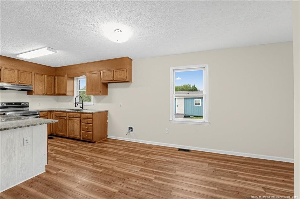 Photo 11 - 229 Montpelier Avenue, Roxboro, NC 27573