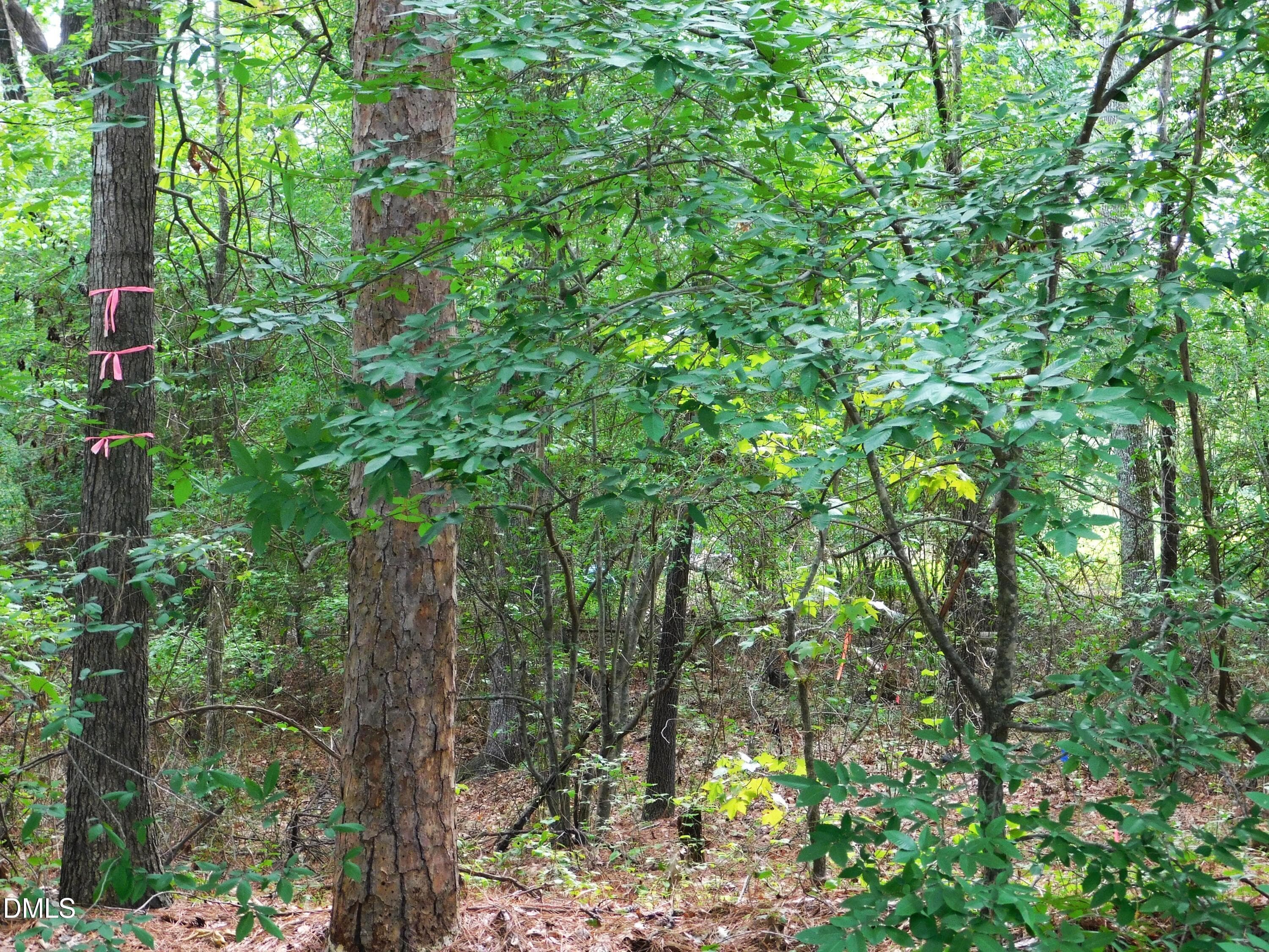 20260724115644526311000000-o - 4815 Redwood Road, Durham, NC 27704, Durham