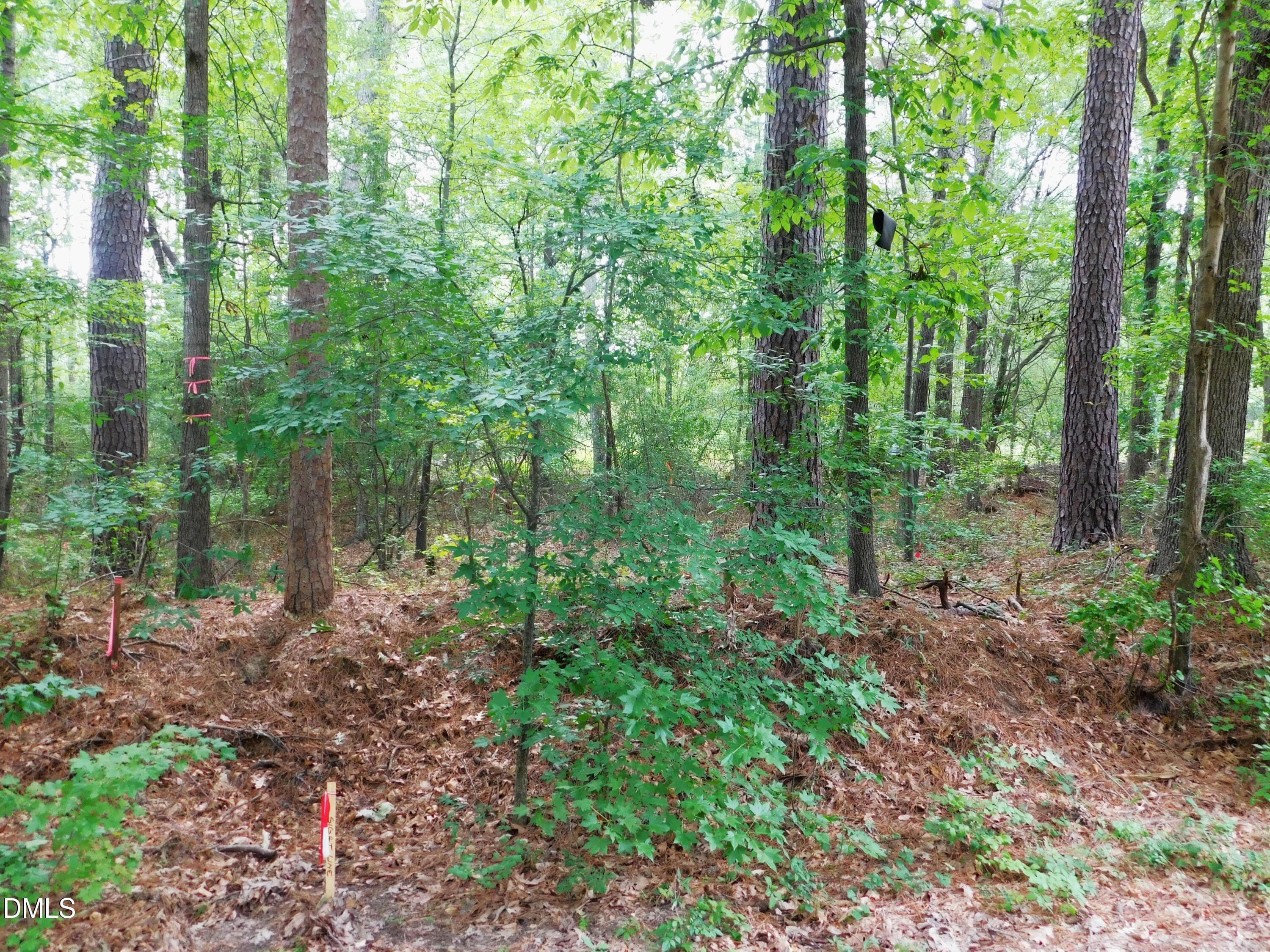 20260724115652818591000000-o - 4815 Redwood Road, Durham, NC 27704, Durham