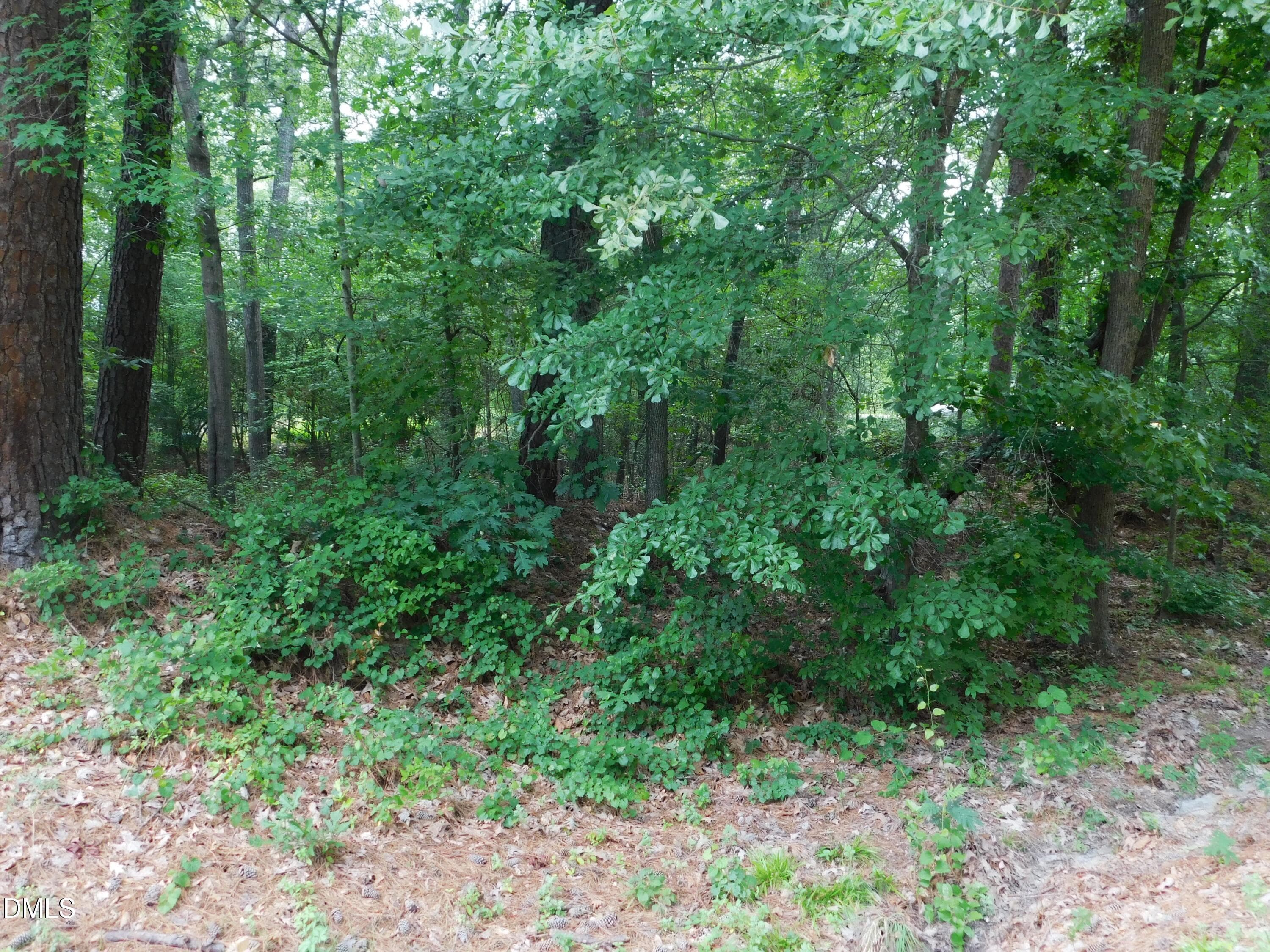 20260724115701777045000000-o - 4815 Redwood Road, Durham, NC 27704, Durham