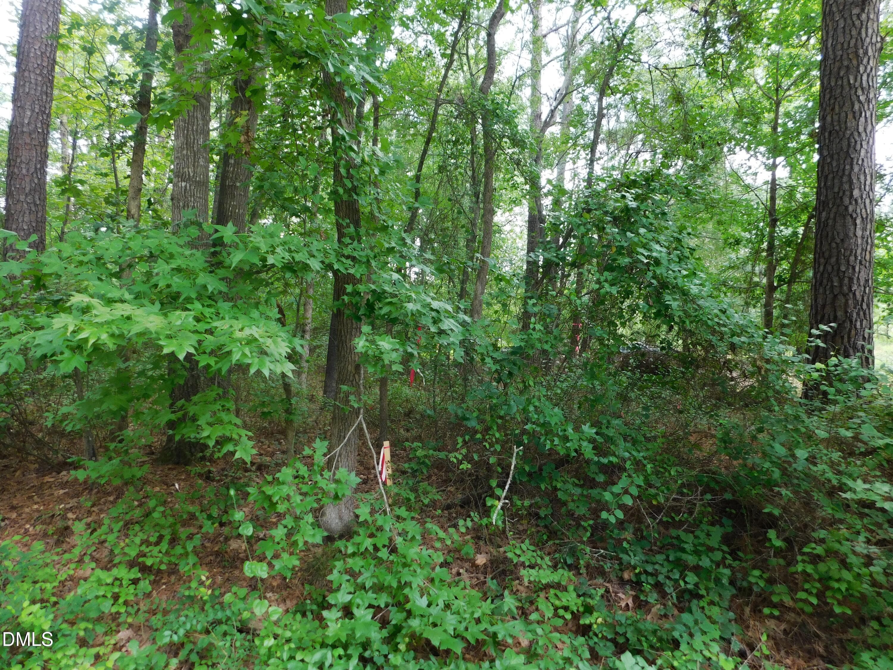20260724115744724689000000-o - 4815 Redwood Road, Durham, NC 27704, Durham