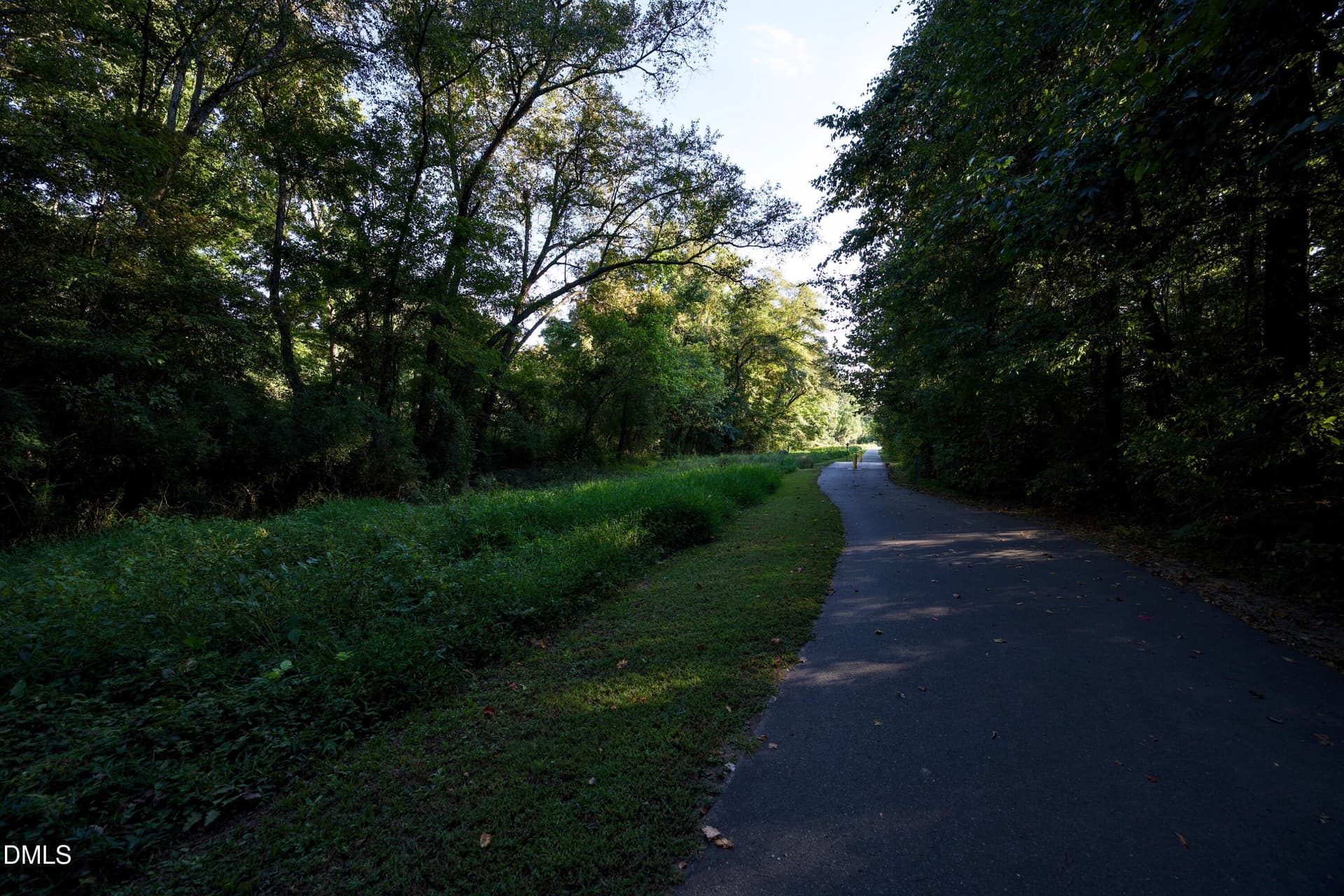 DSC_1265 - 35 Willow Bridge Drive, Durham, NC 27707
