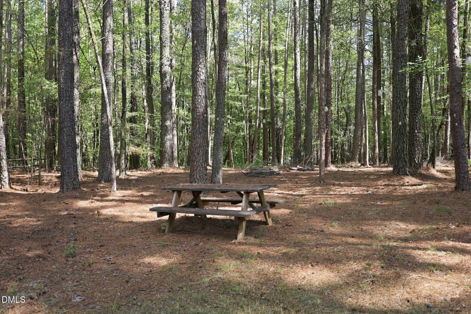 15-web-or-mls-IMG_6491 - Lot 46 Pool Rock Plantation Lane, Henderson, NC 27537