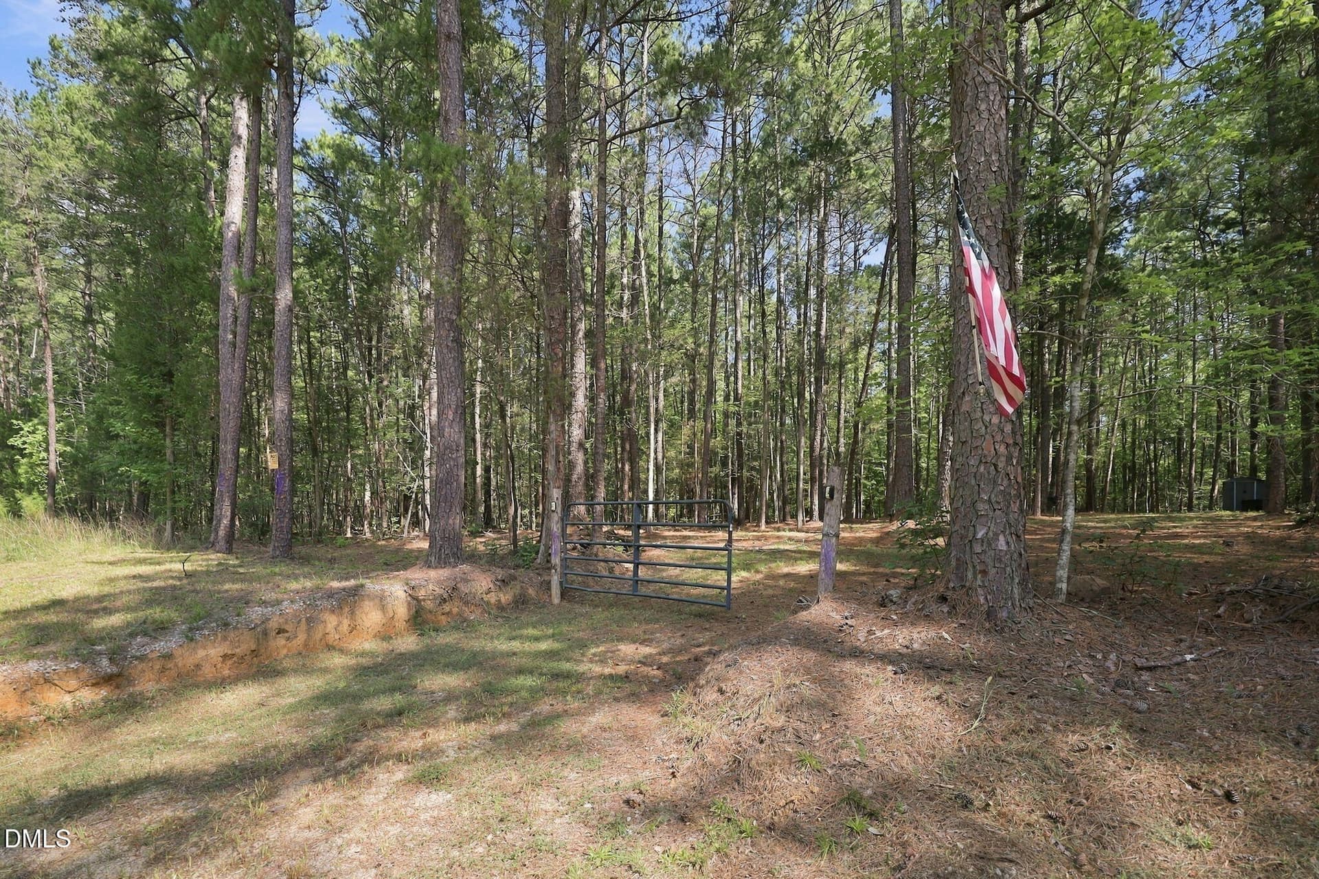 10-web-or-mls-IMG_6480 - Lot 46 Pool Rock Plantation Lane, Henderson, NC 27537
