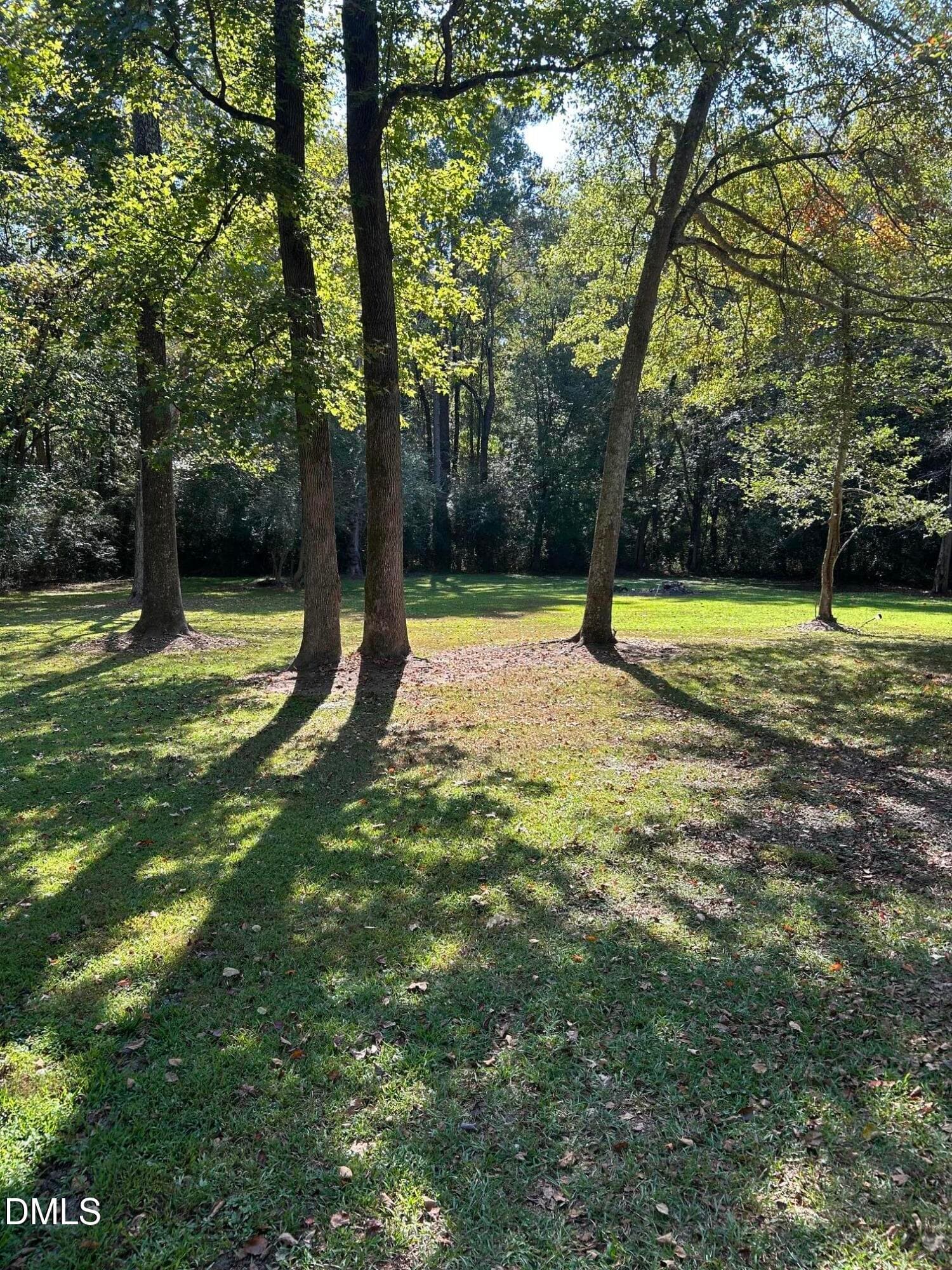 IMG_3109 - 622 Young Road, Angier, NC 27501