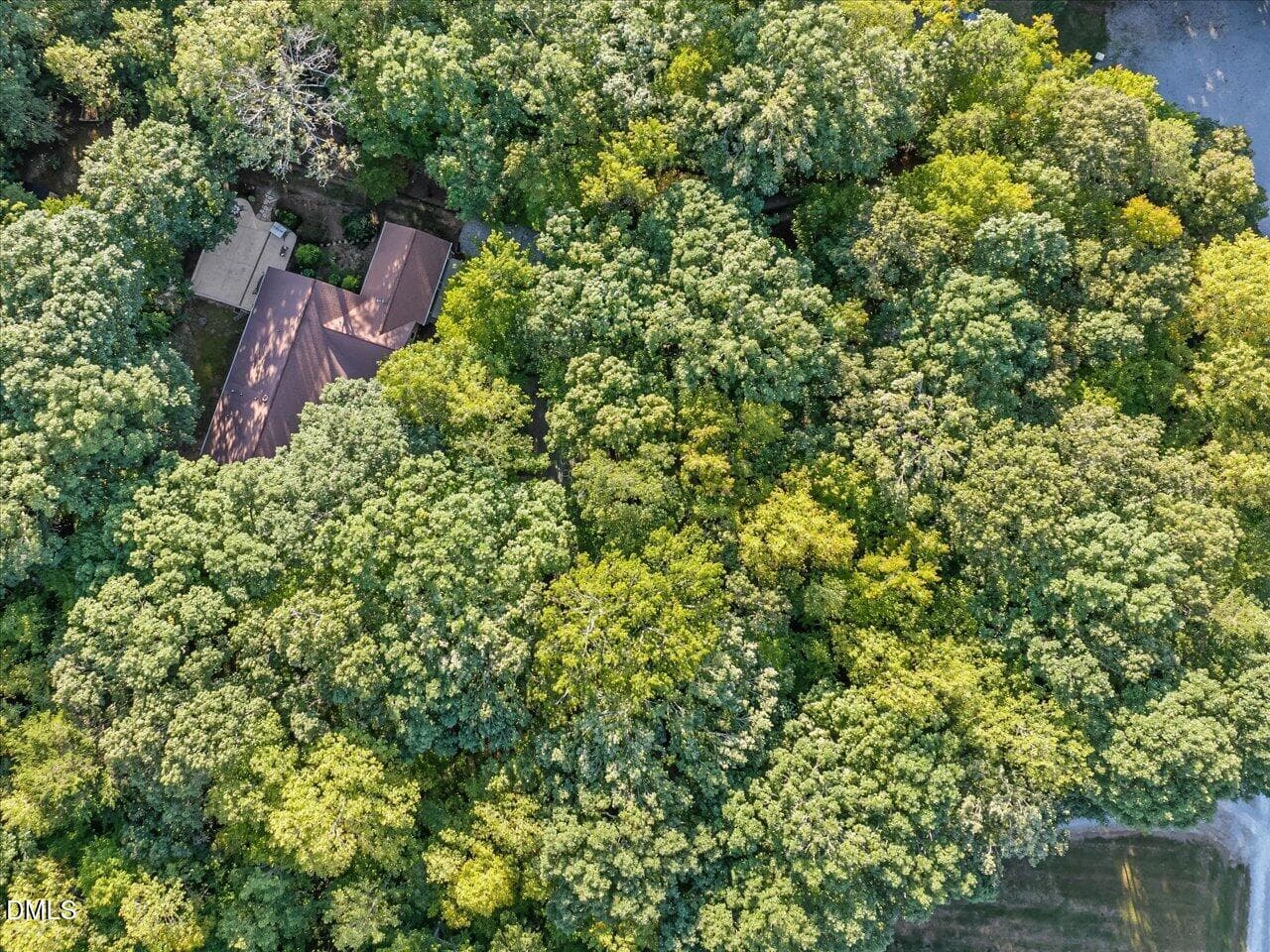90-Aerial View - 4628 Harmony Lane, Efland, NC 27243