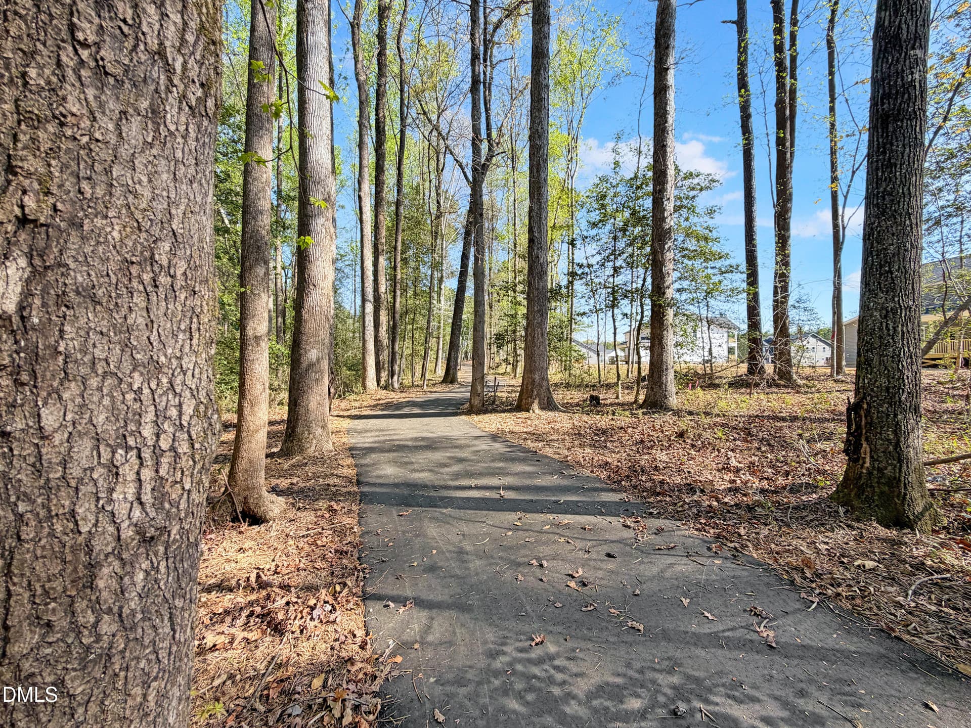 IMG_4932 - 197 Eagle Rock Drive, Lillington, NC 27546