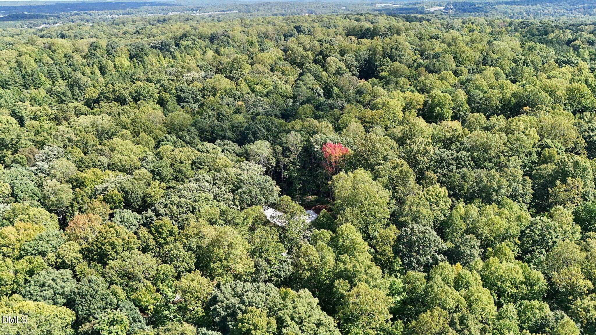 Aerial (2) - 2347 Grady Ridge Way, Hillsborough, NC 27278, Hillsborough