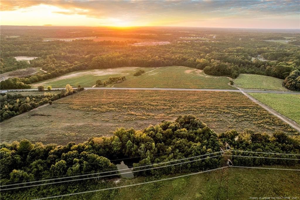 Photo 18 - 00 Daniels (Lot 2) Road, Dunn, NC 28334
