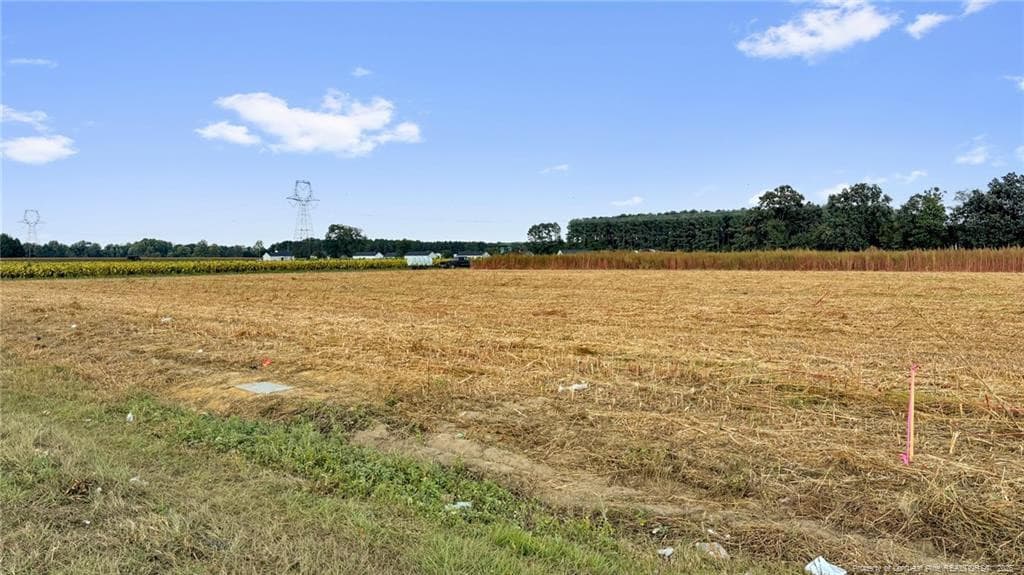 Photo 23 - 00 Daniels (Lot 2) Road, Dunn, NC 28334