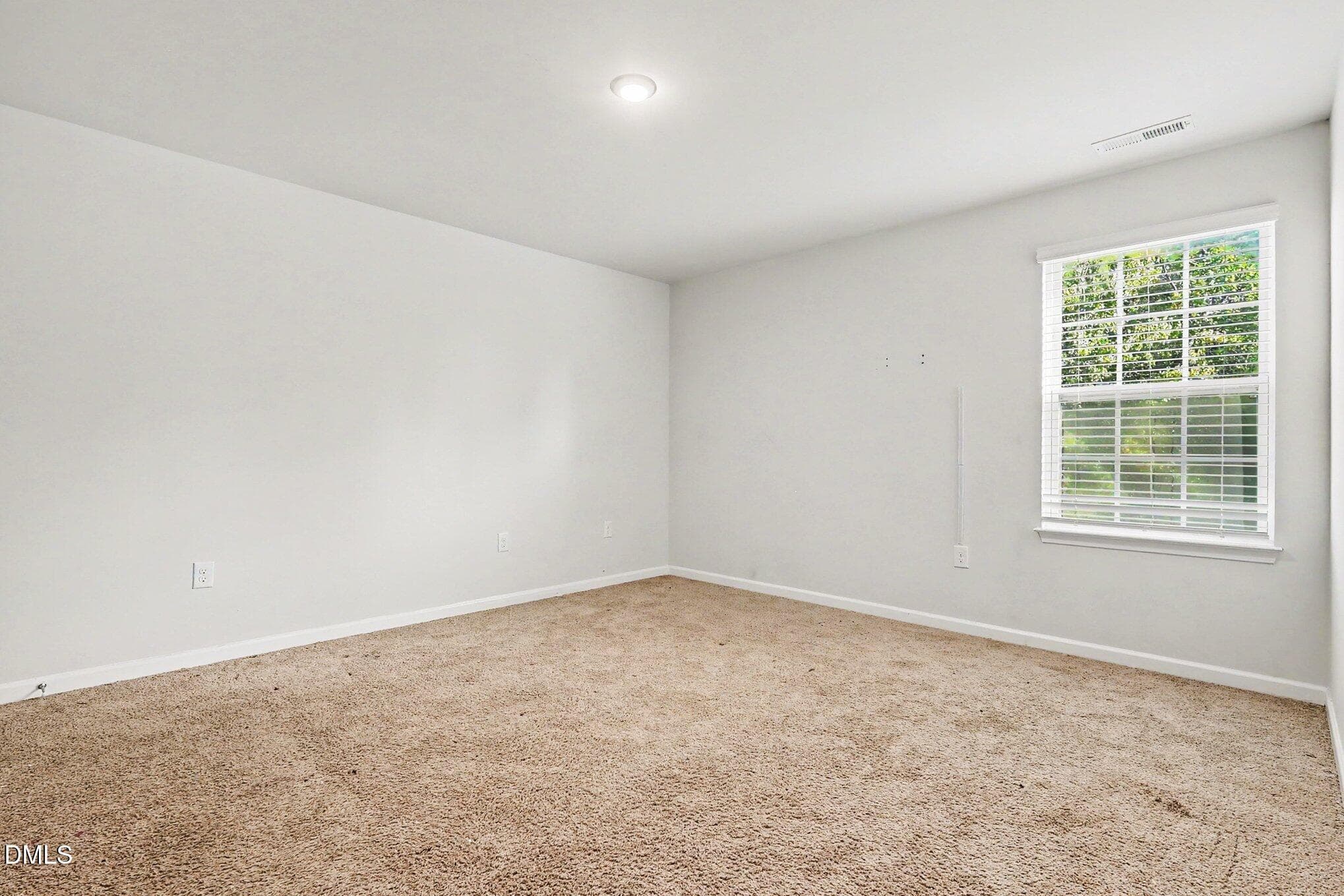 017_file_6705 - 920 Winter Cress Drive, Zebulon, NC 27597