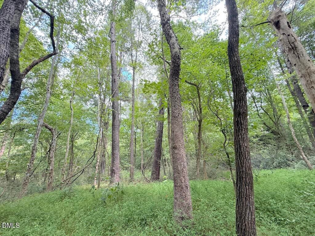 8 - 0 Laurel Ridge Road, Durham, NC 27705, Durham