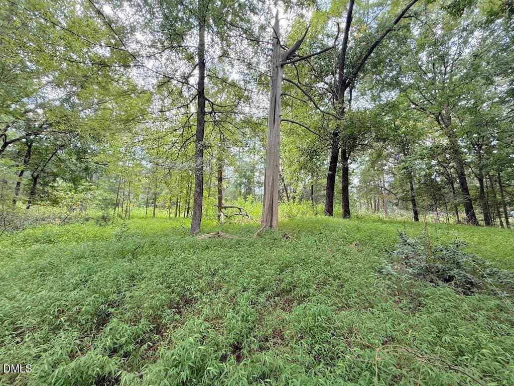 21 - 0 Laurel Ridge Road, Durham, NC 27705, Durham