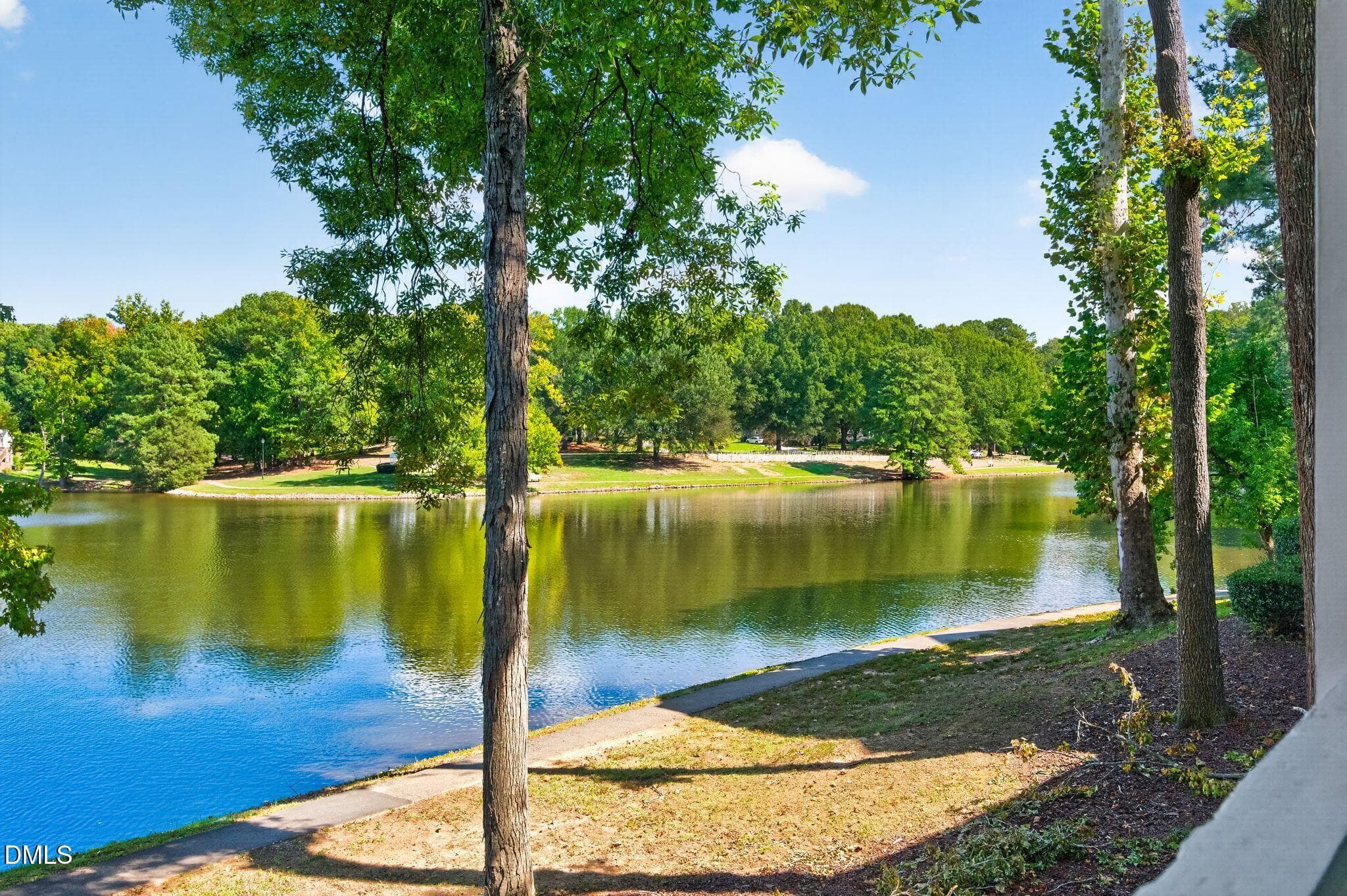 62_DSC_3806 - 512 Springfork Drive, Cary, NC 27513, Cary