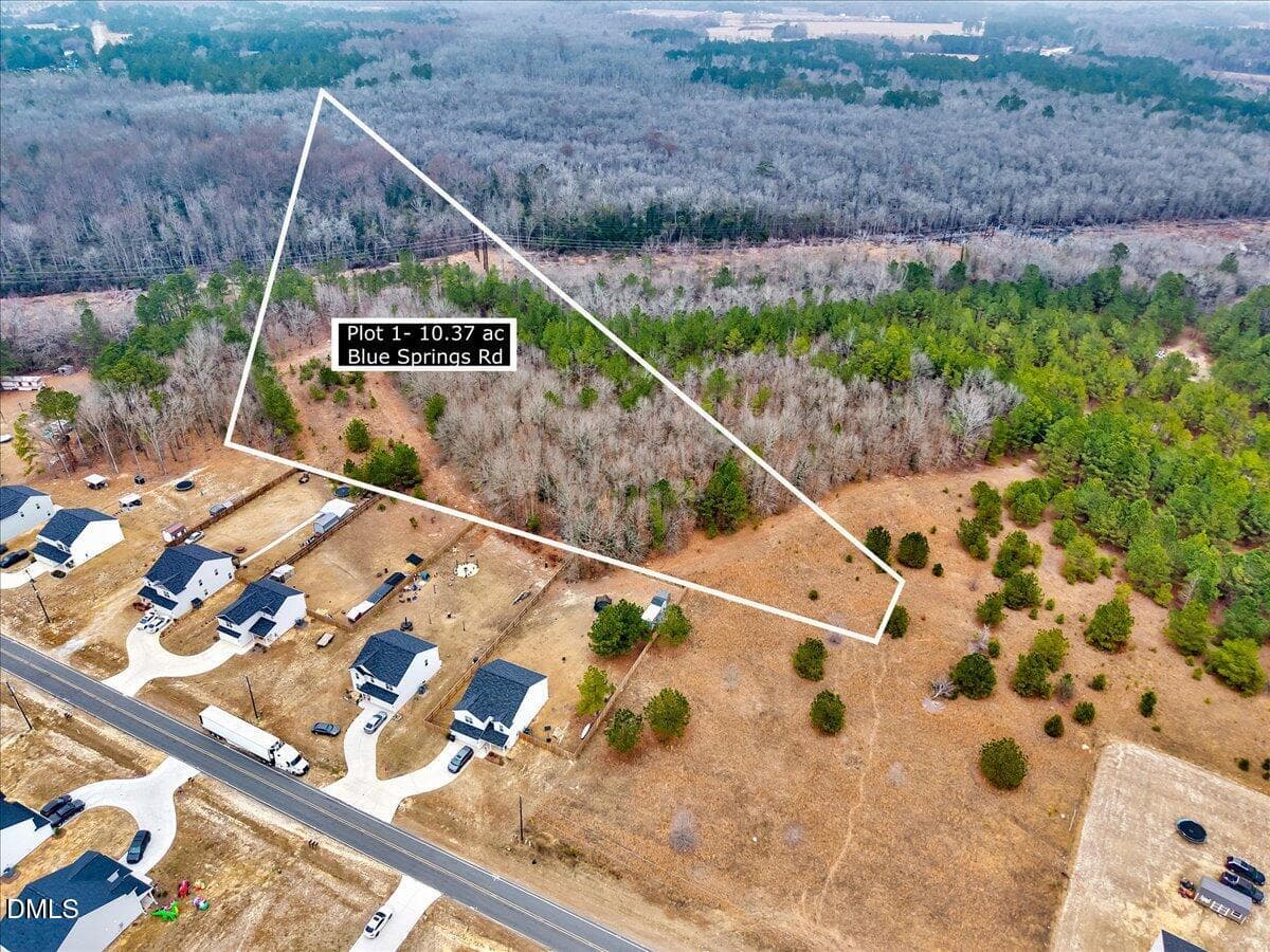 Lot 1 Blue Springs Road, Red Springs, NC 28377