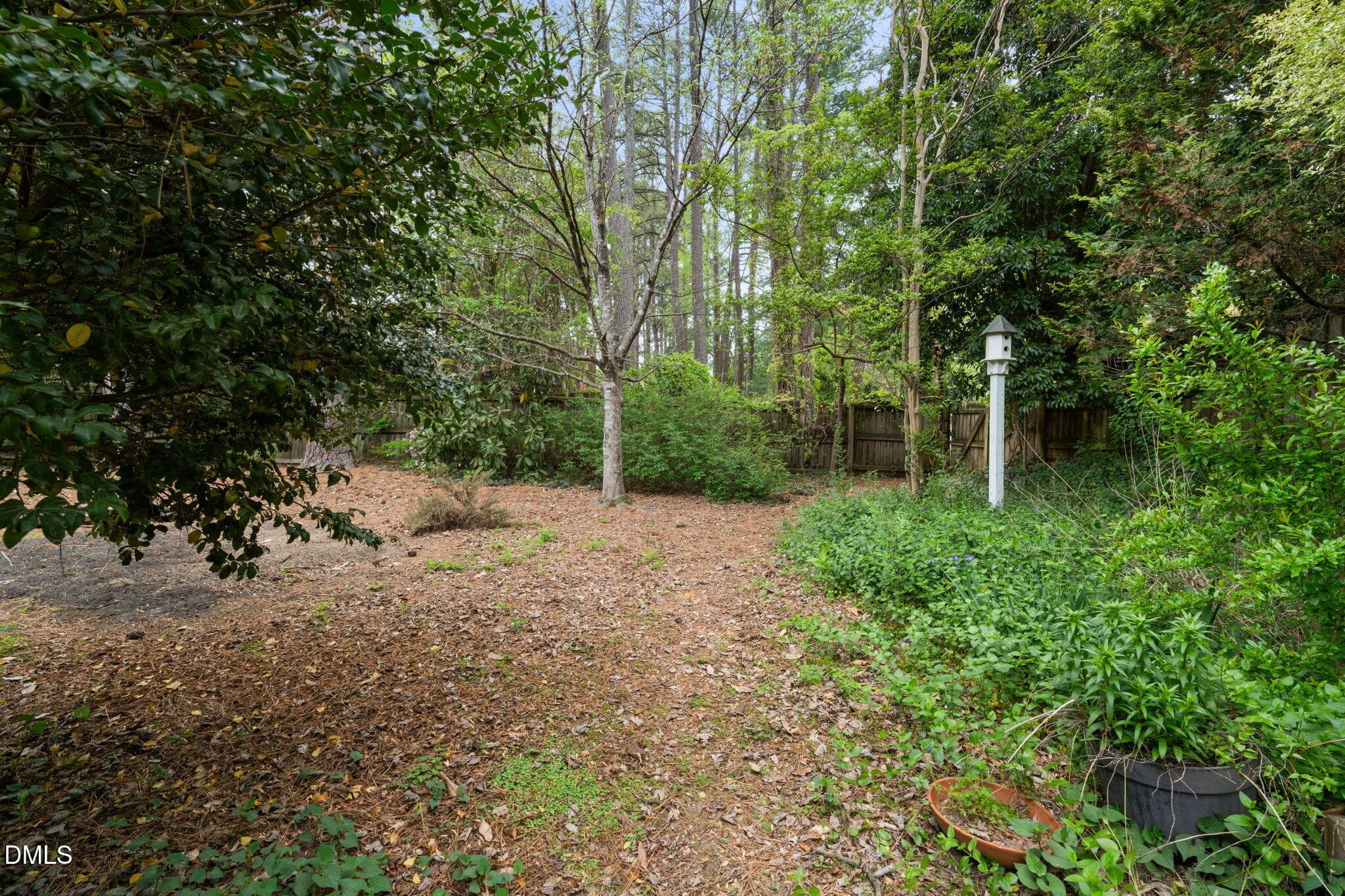 Back Yard - 4925 Old Millcrest Court, Raleigh, NC 27609