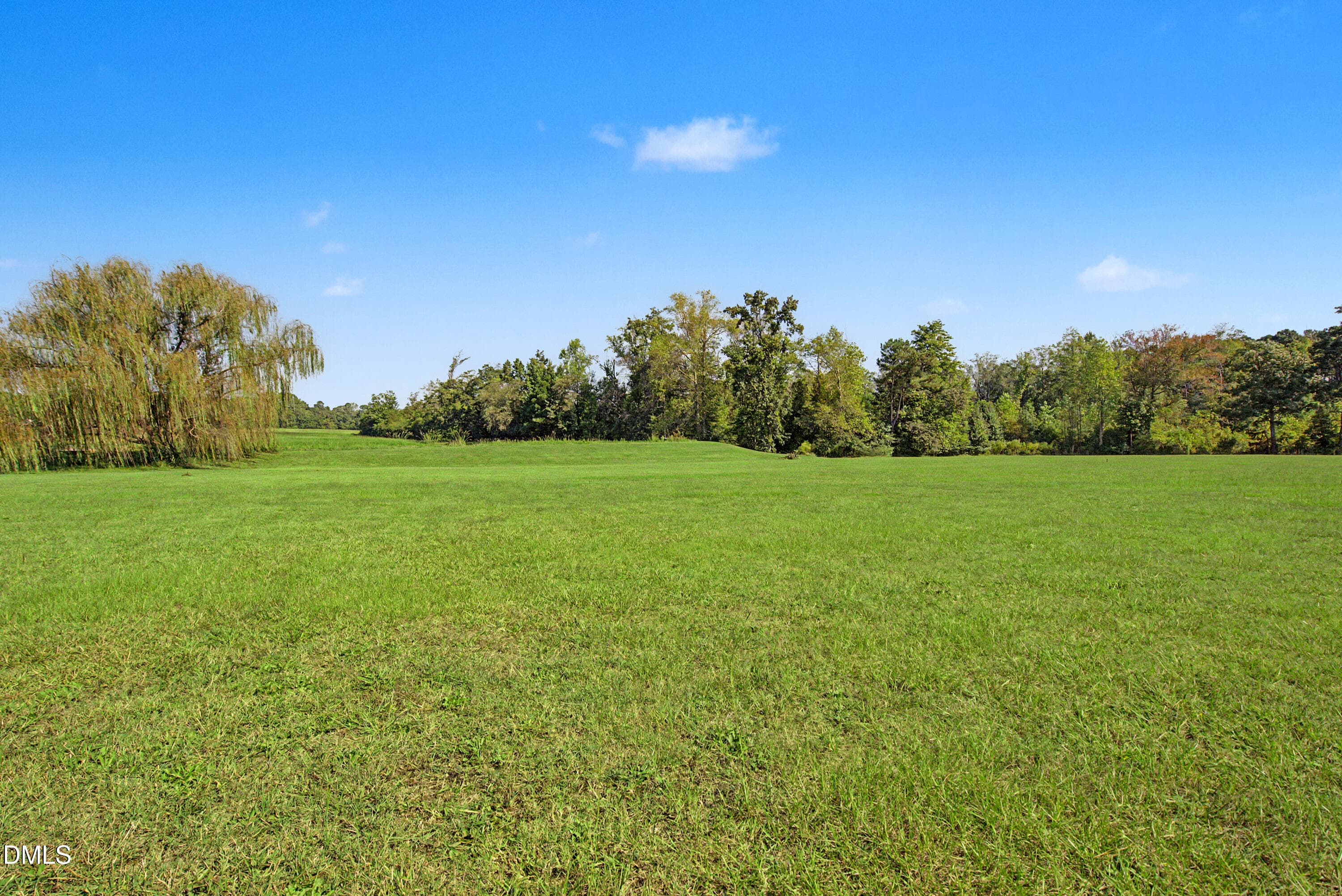 DSC00137 - 7412 Fish Pond Road, Sims, NC 27880, Sims