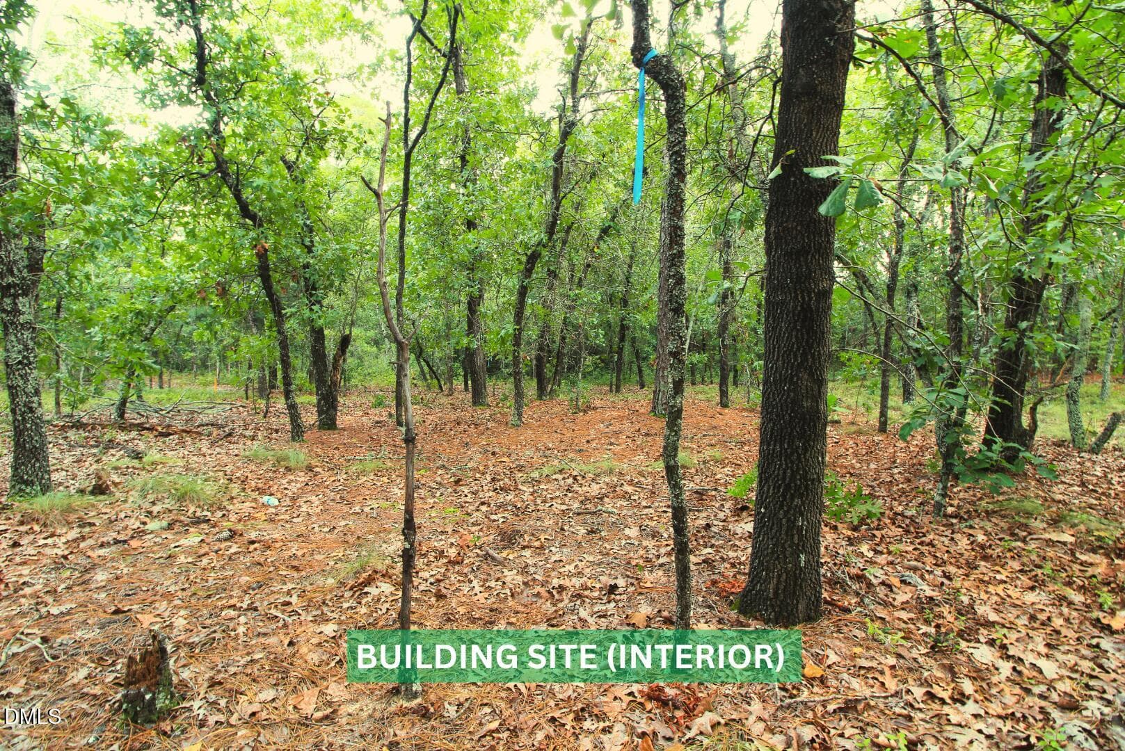 19_McDuffie - 599 Mcduffie Road, Cameron, NC 28326