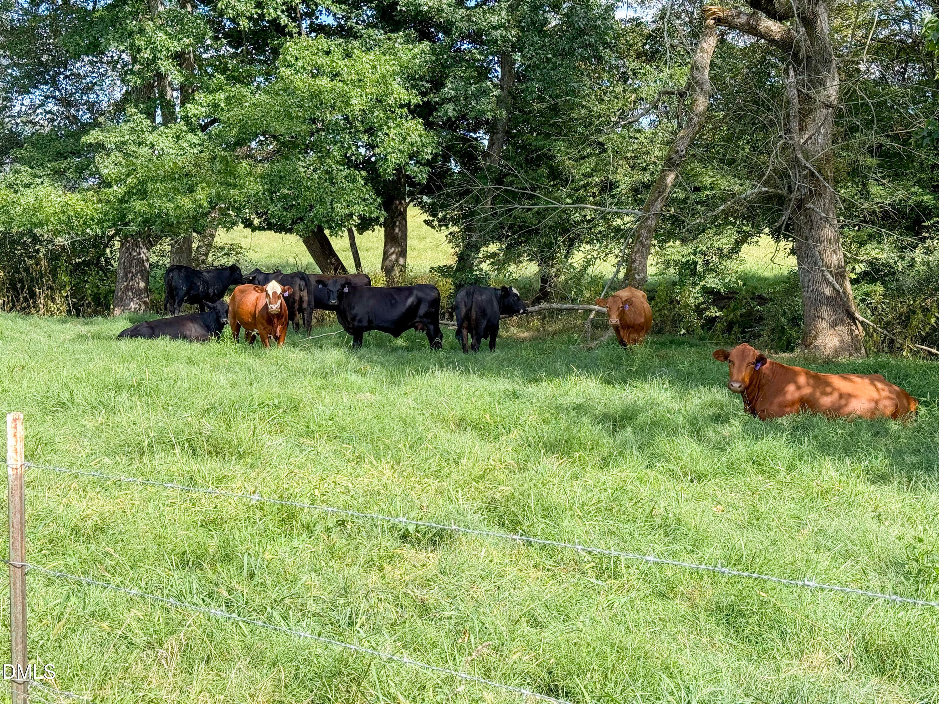 Smith Farm Chatham (5) - 2475 Coleridge Road, Siler City, NC 27344