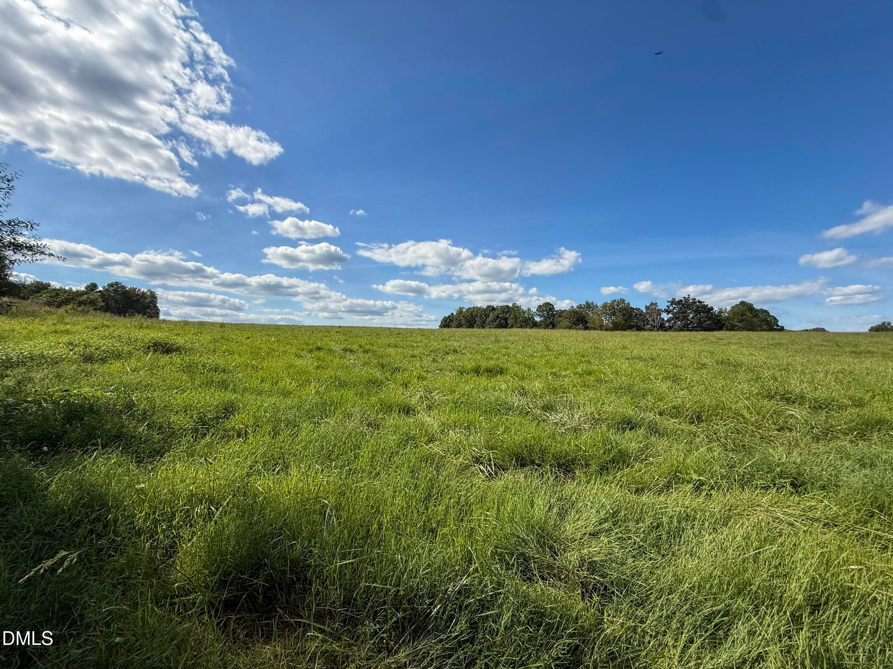 Smith Farm Chatham (6) - 2475 Coleridge Road, Siler City, NC 27344