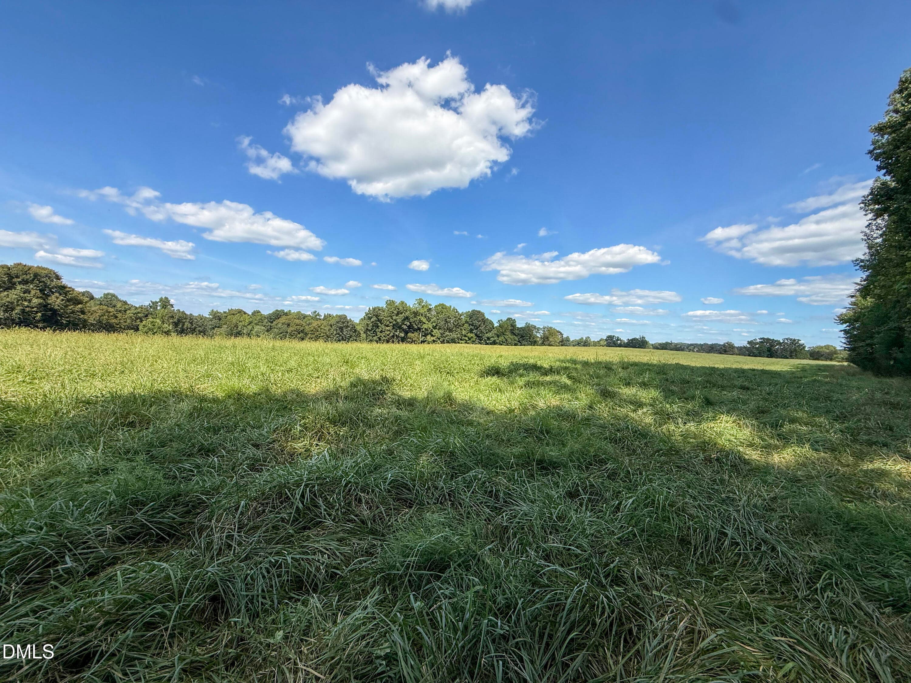 Smith Farm Chatham (7) - 2475 Coleridge Road, Siler City, NC 27344