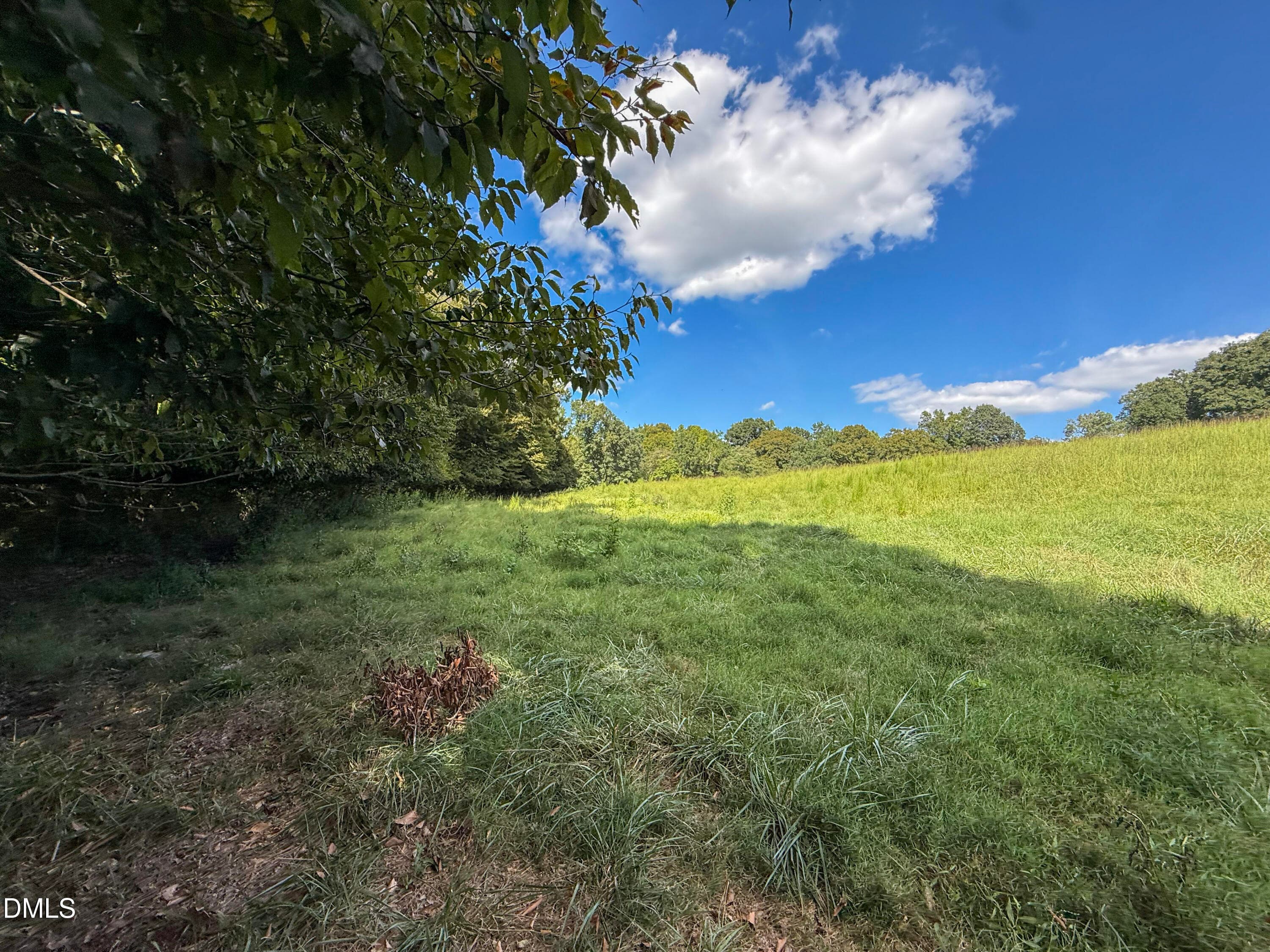 Smith Farm Chatham (9) - 2475 Coleridge Road, Siler City, NC 27344