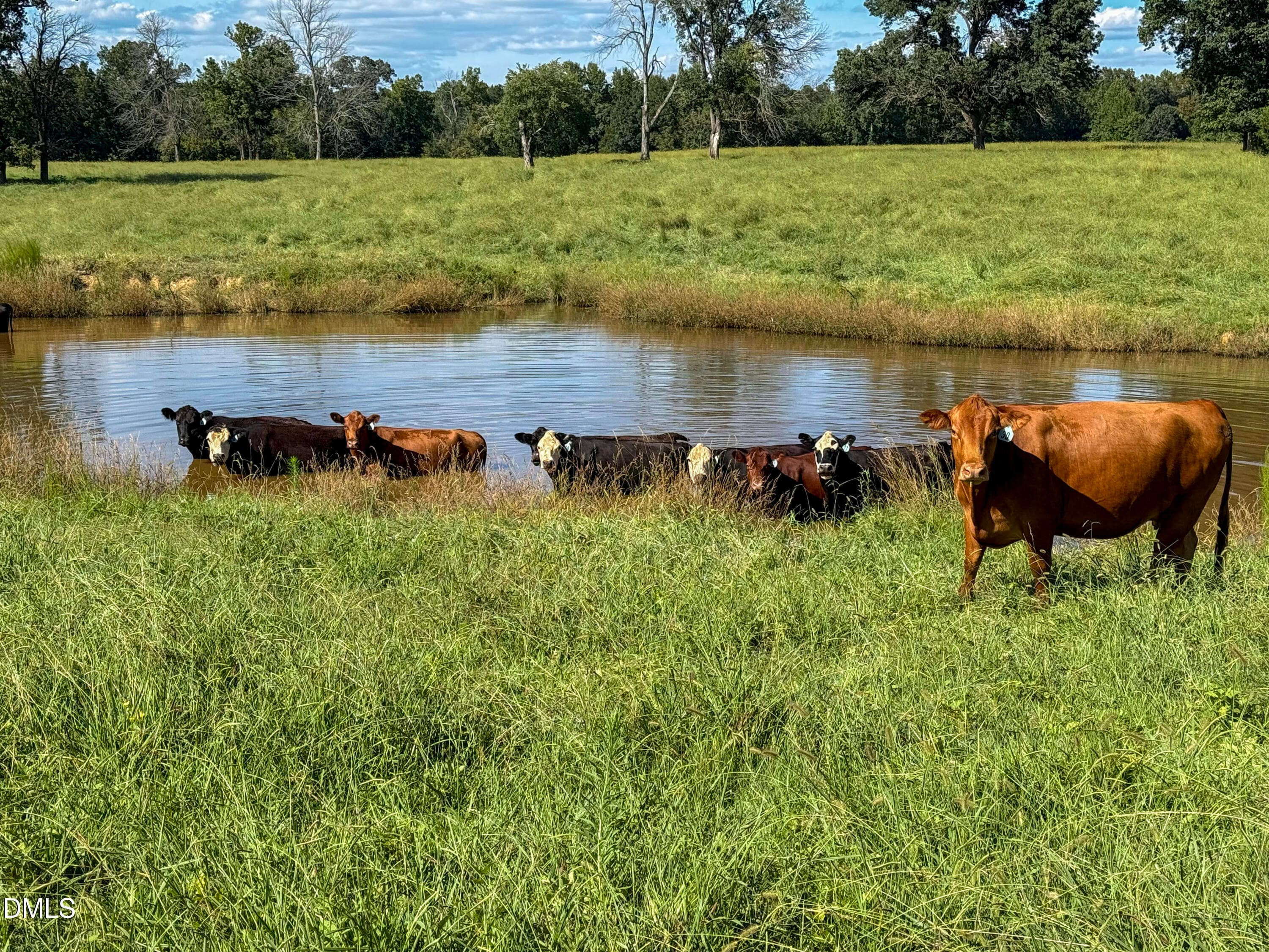 Smith Farm Chatham (14) - 2475 Coleridge Road, Siler City, NC 27344