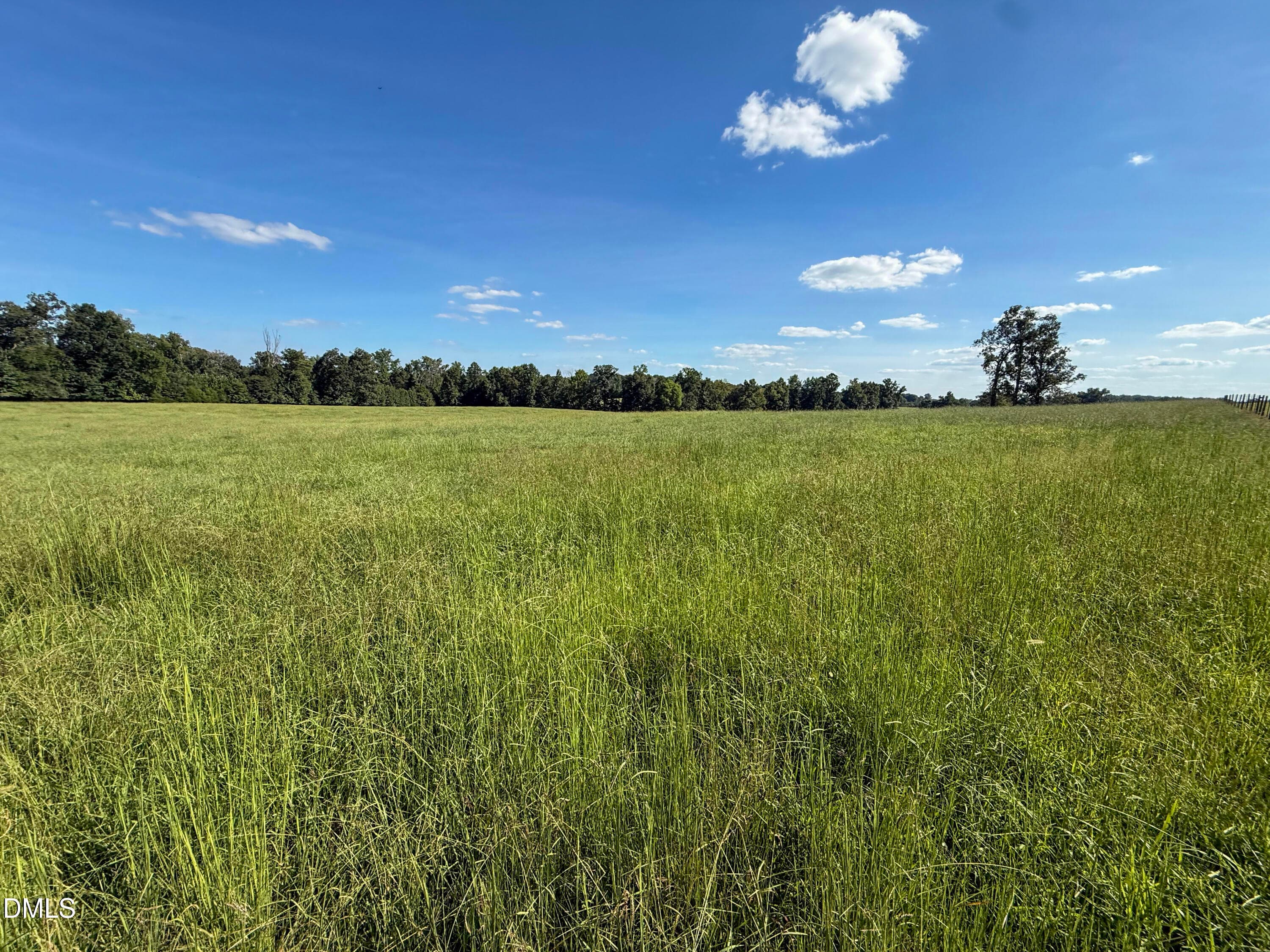 Smith Farm Chatham (16) - 2475 Coleridge Road, Siler City, NC 27344