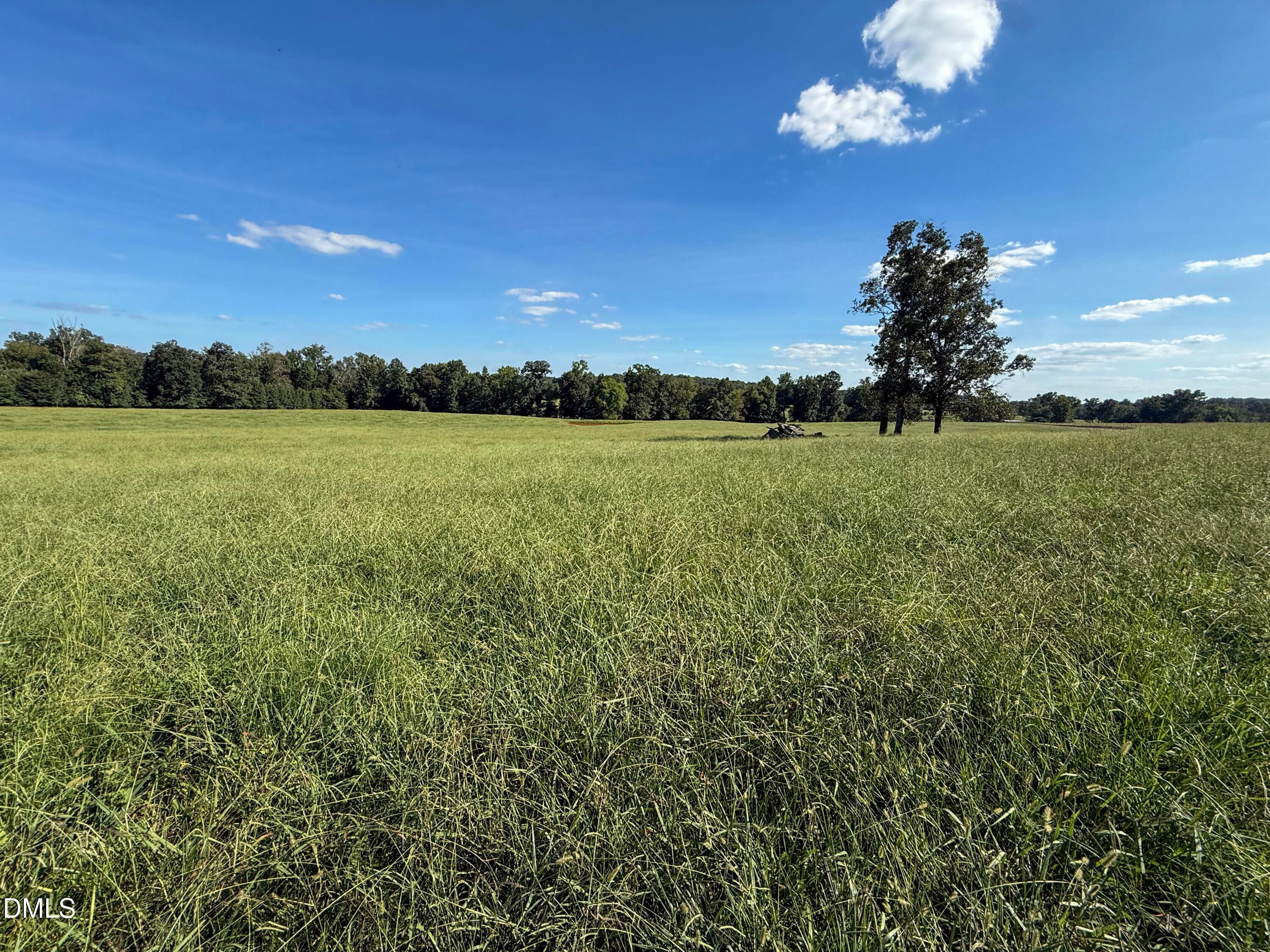 Smith Farm Chatham (17) - 2475 Coleridge Road, Siler City, NC 27344