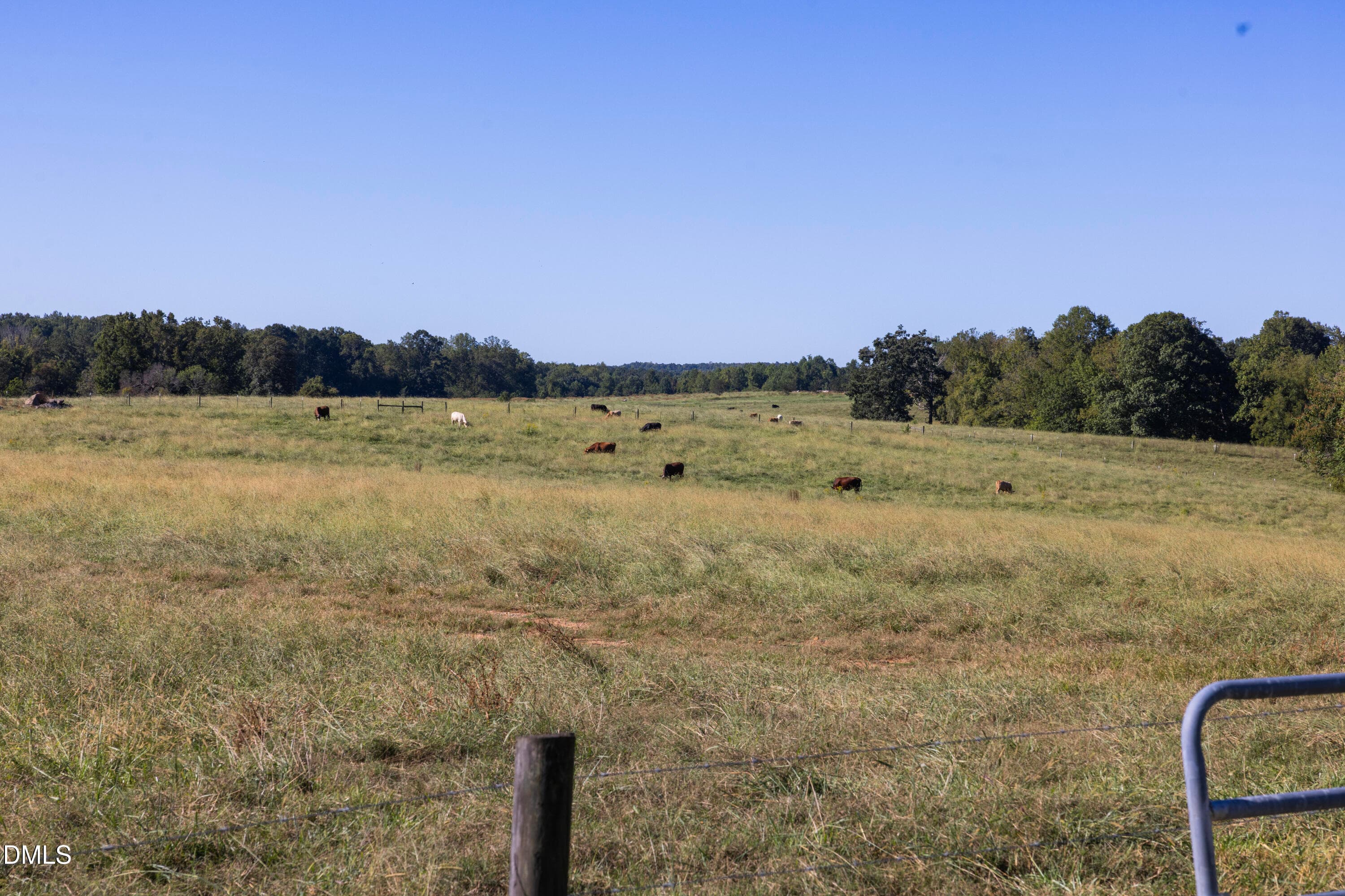 Smith Farm Chatham (24) - 2475 Coleridge Road, Siler City, NC 27344