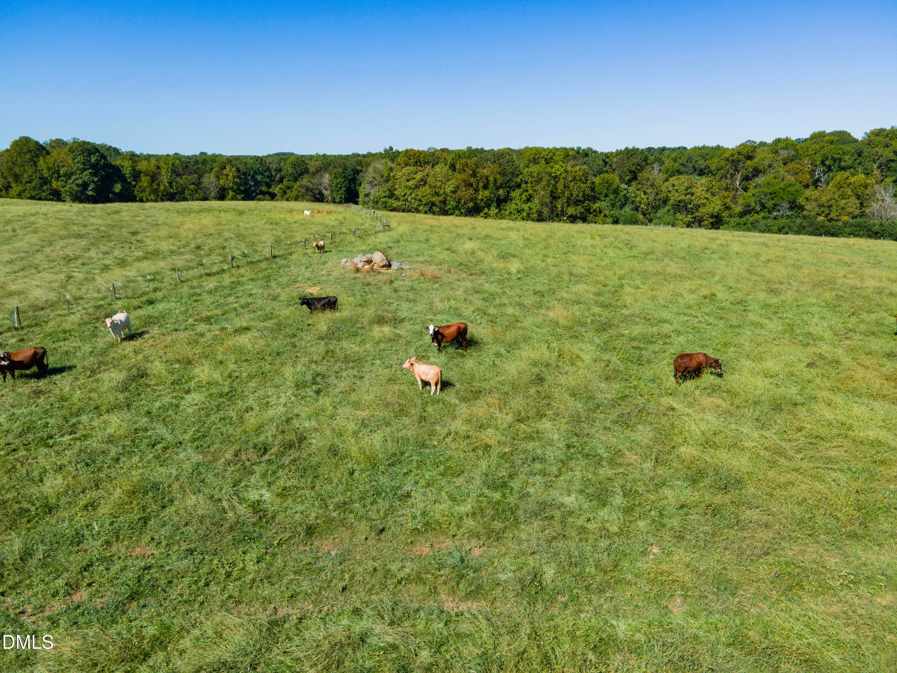 Smith Farm Chatham (41) - 2475 Coleridge Road, Siler City, NC 27344