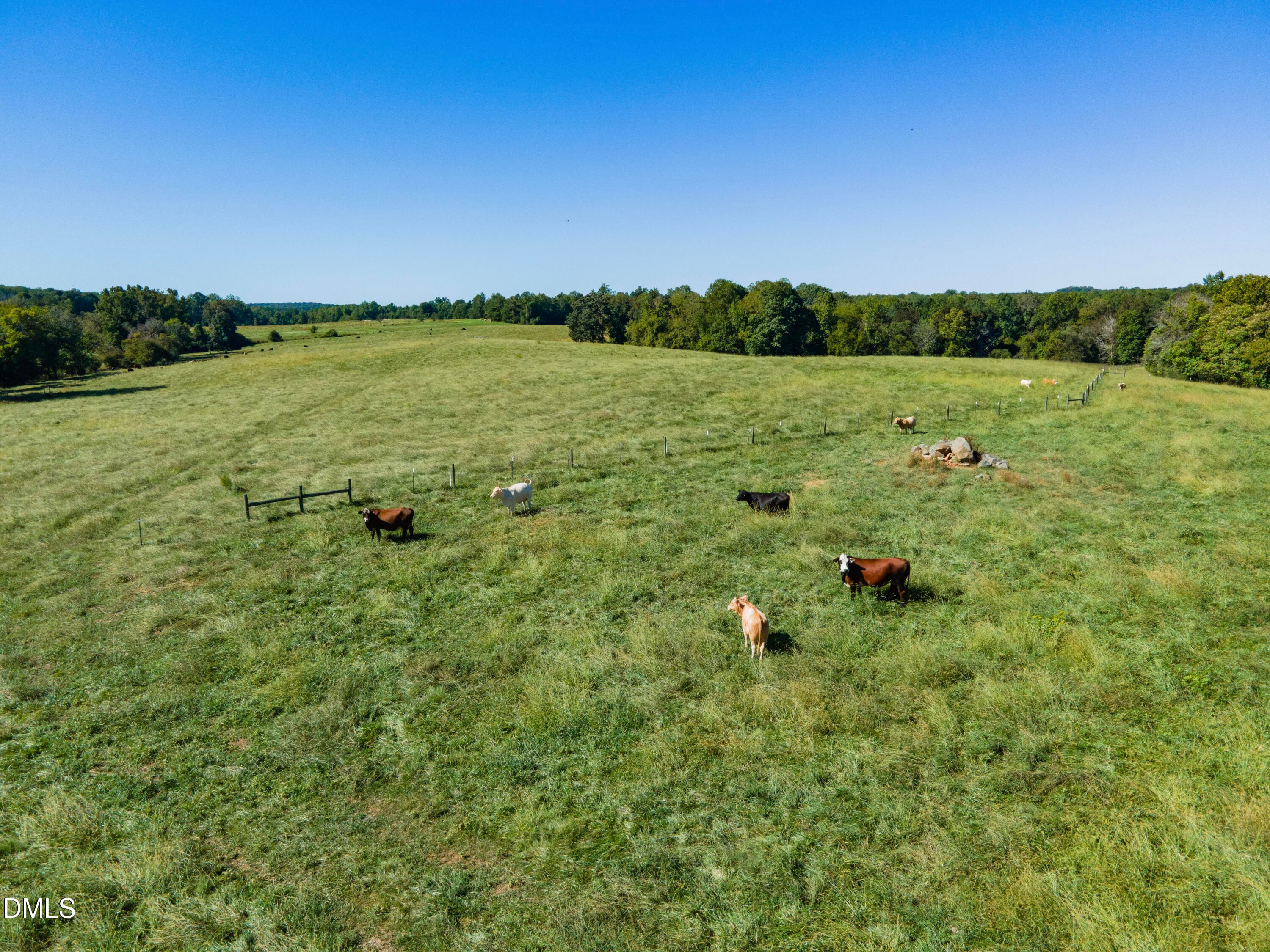 Smith Farm Chatham (42) - 2475 Coleridge Road, Siler City, NC 27344