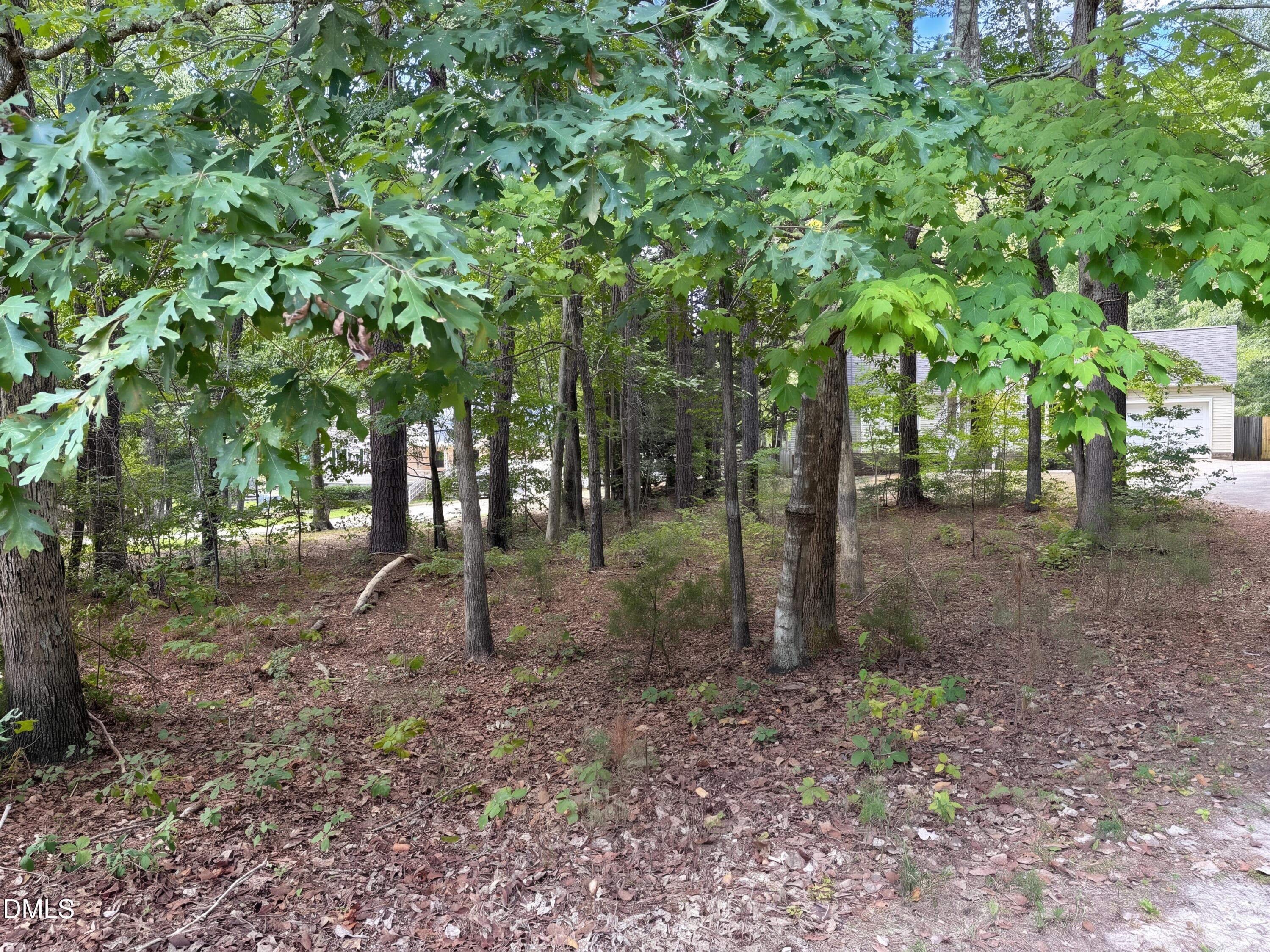 photo_22 - 270 Cherrylaurel Drive, Youngsville, NC 27596, Youngsville