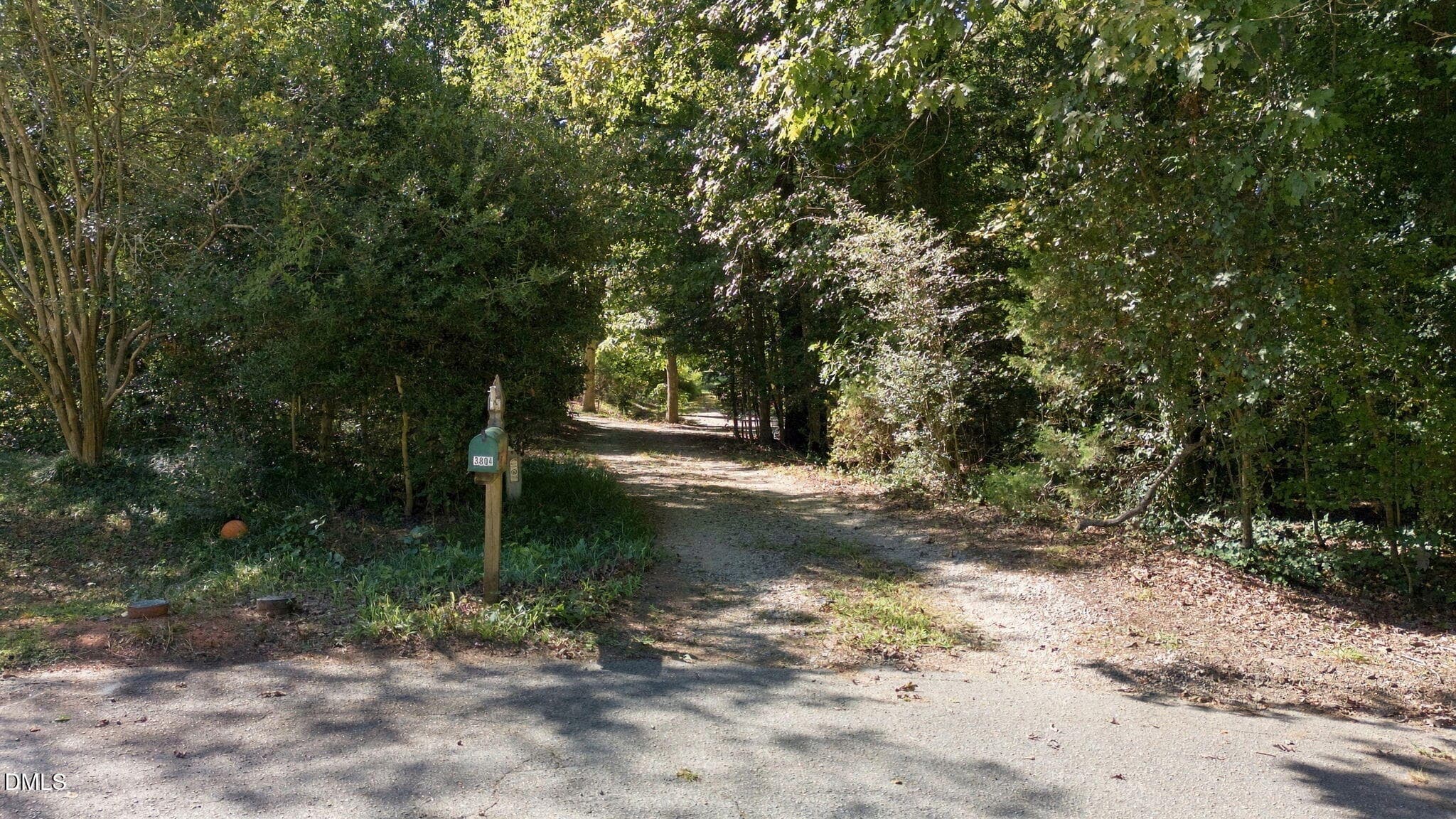 Driveway - 3804 Banstead Court, Apex, NC 27539, Apex