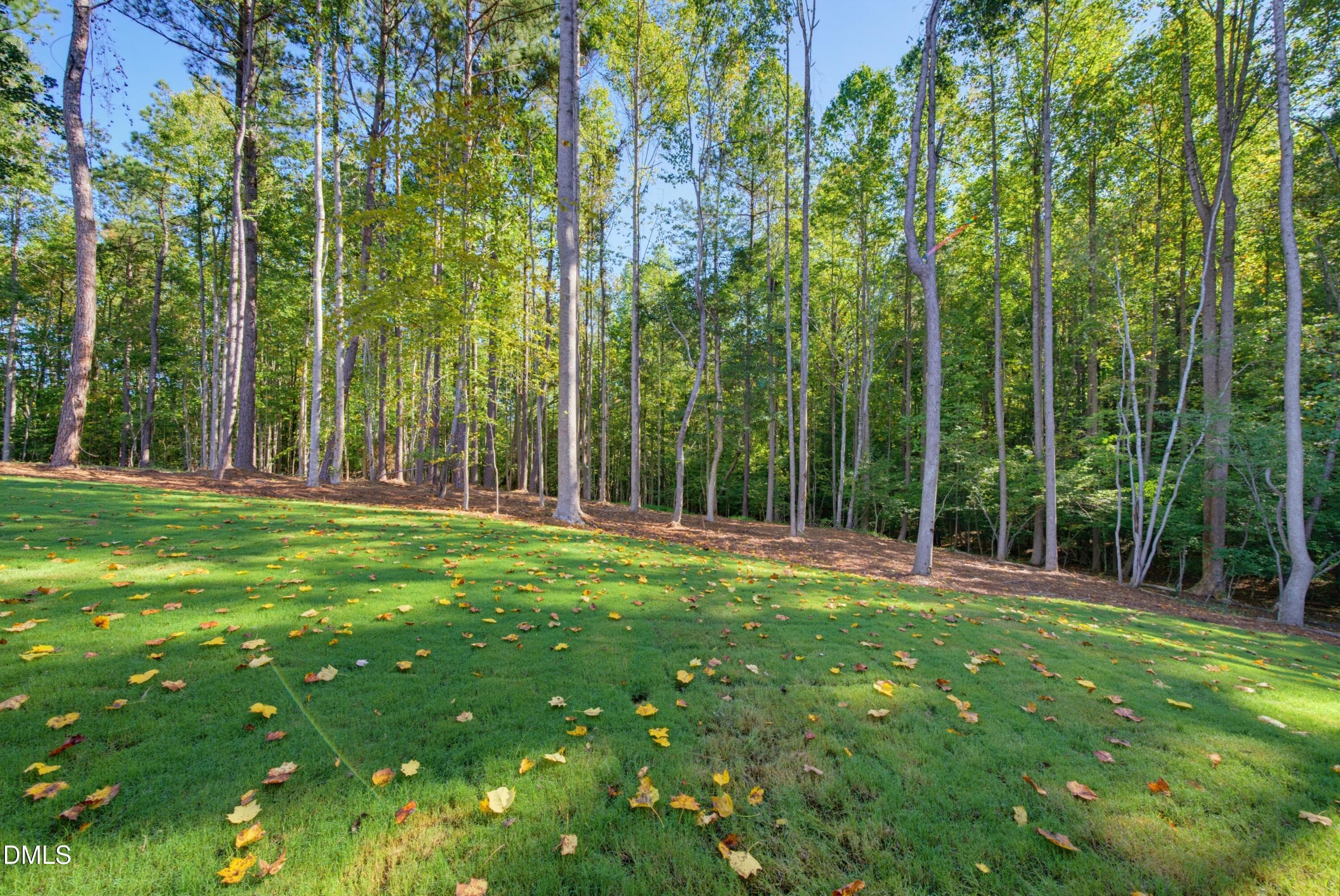 DSC09692 - 404 Shinleaf Pond Trail, Raleigh, NC 27614