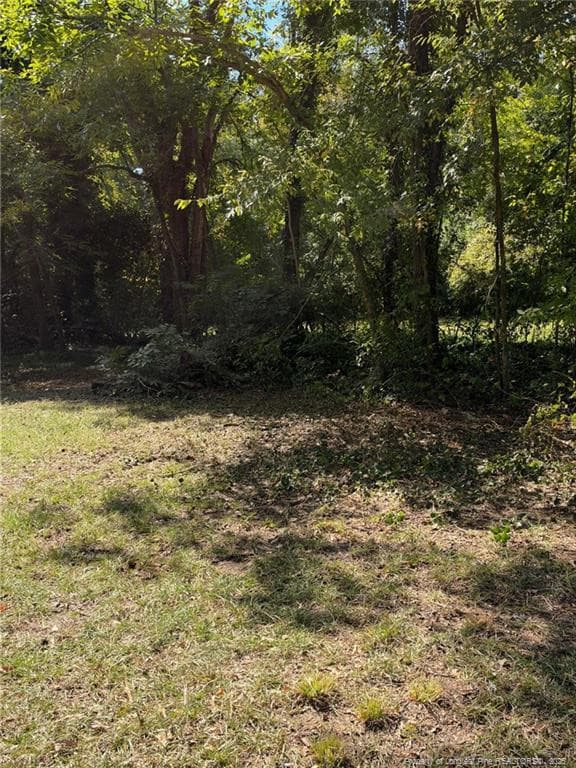 Photo 2 - 417 Moore Street, Fayetteville, NC 28301, Fayetteville