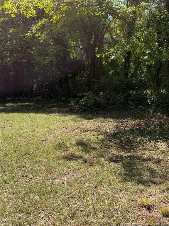 Photo 3 - 417 Moore Street, Fayetteville, NC 28301, Fayetteville