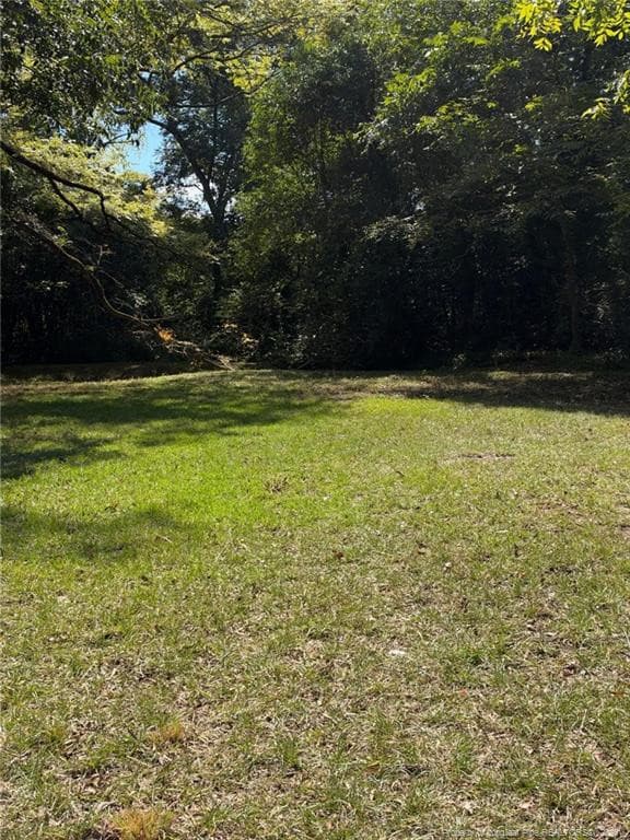Photo 4 - 417 Moore Street, Fayetteville, NC 28301, Fayetteville