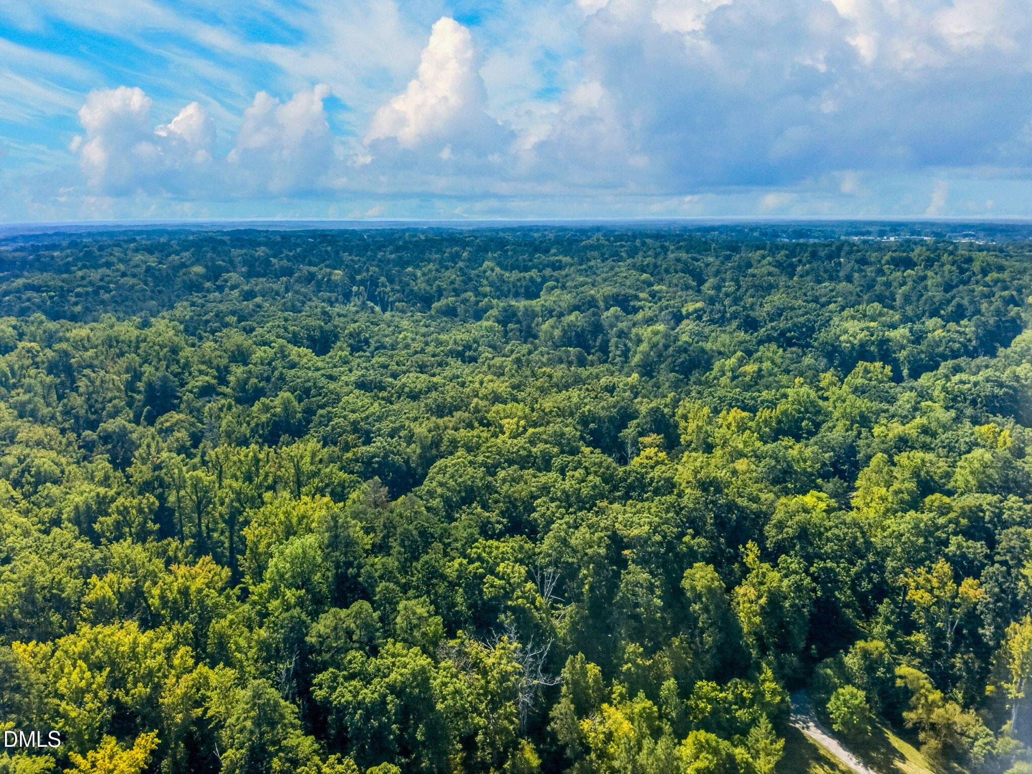 10-web-or-mls-1516 Pinecrest Road - 10 - 1516 Pinecrest Road, Durham, NC 27705