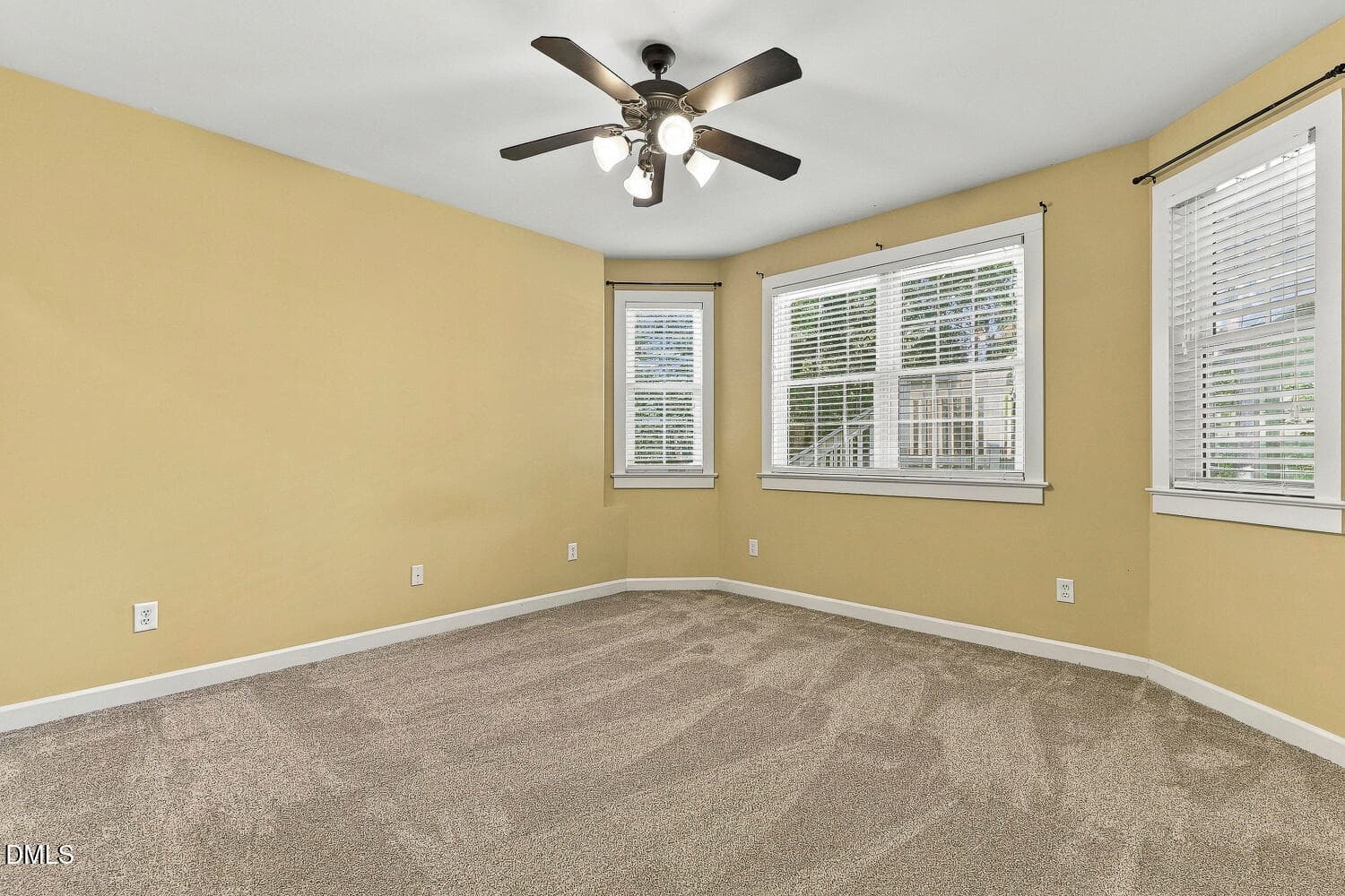 Basement bed - 490 Bear Tree Creek, Chapel Hill, NC 27517, Chapel Hill