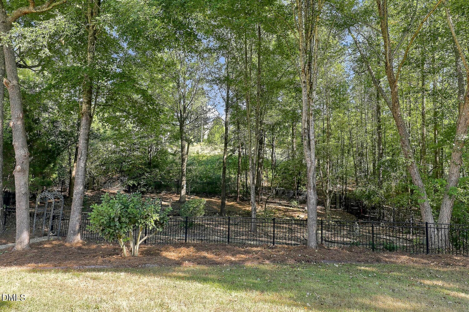 Landscape 6 - 490 Bear Tree Creek, Chapel Hill, NC 27517, Chapel Hill