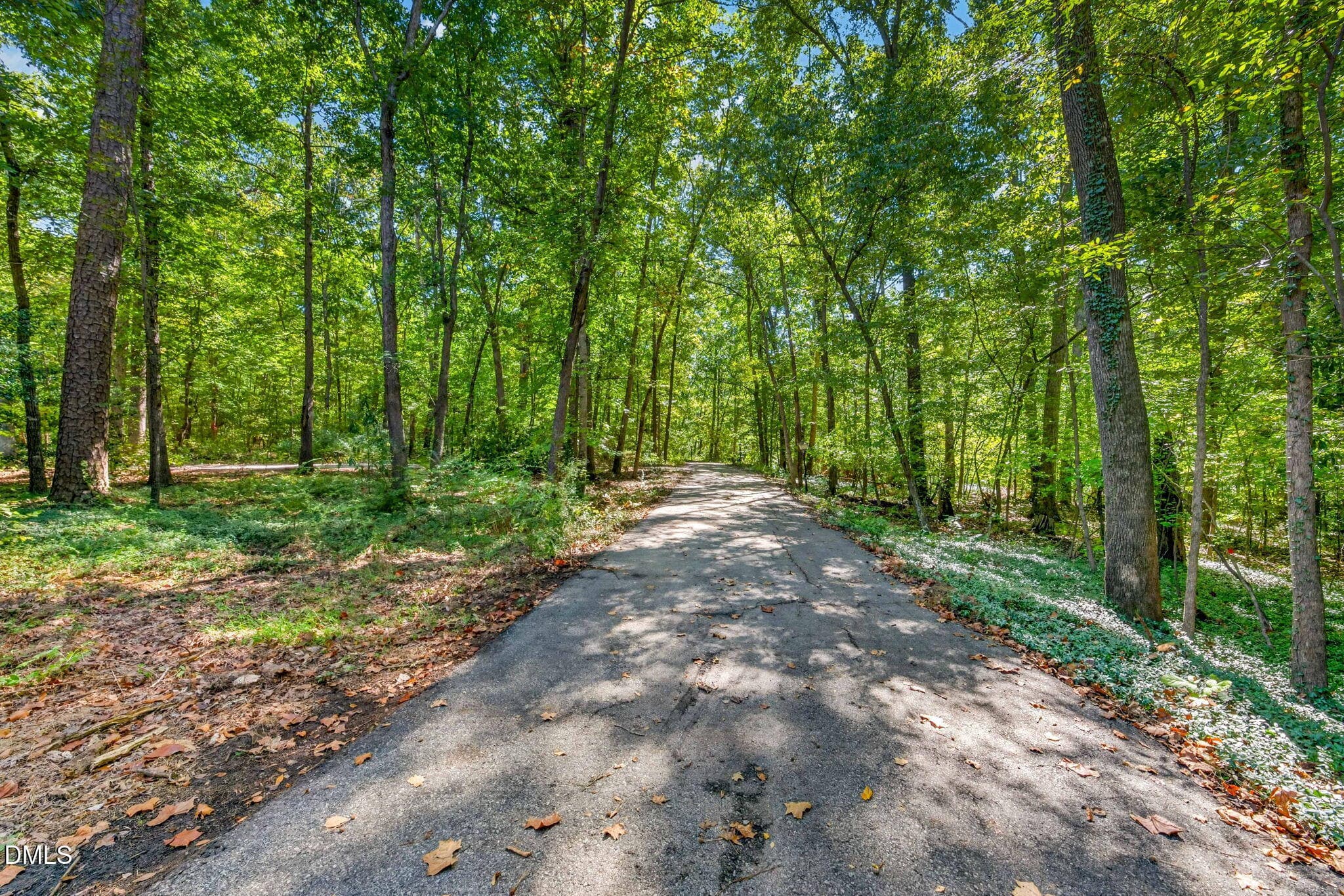 3-web-or-mls-1516 Pinecrest Rd - 3 - 1516 Pinecrest Road, Durham, NC 27705