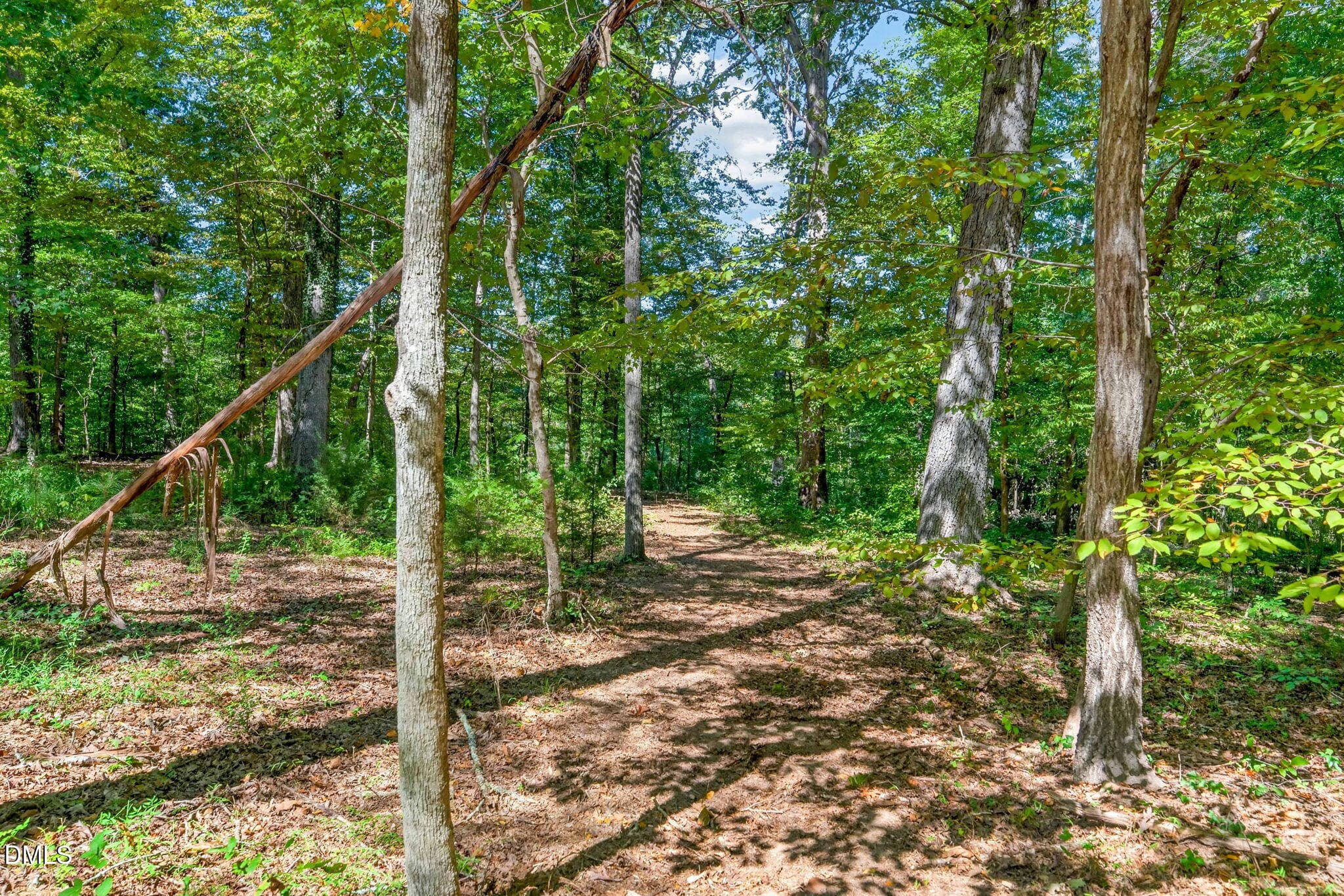 33-web-or-mls-1516 Pinecrest Rd - 33 - 1516 Pinecrest Road, Durham, NC 27705
