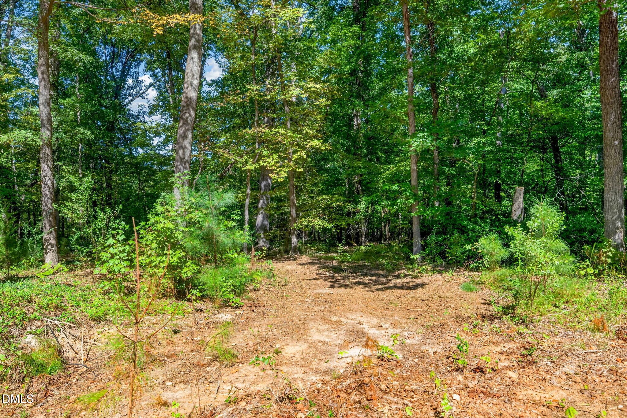 36-web-or-mls-1516 Pinecrest Rd - 36 - 1516 Pinecrest Road, Durham, NC 27705