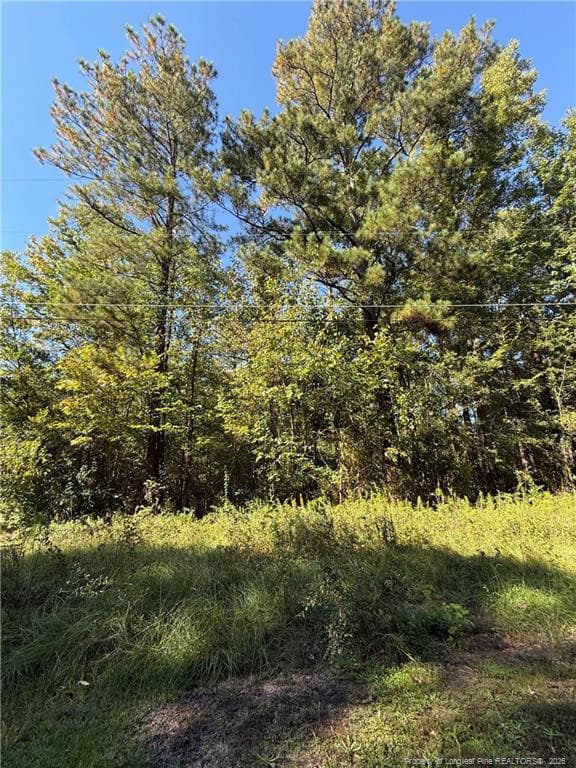 Photo 3 - 1637 Rose Bud Drive, Fayetteville, NC 28312, Fayetteville