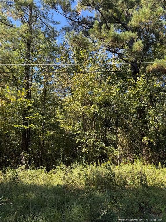 Photo 4 - 1637 Rose Bud Drive, Fayetteville, NC 28312, Fayetteville